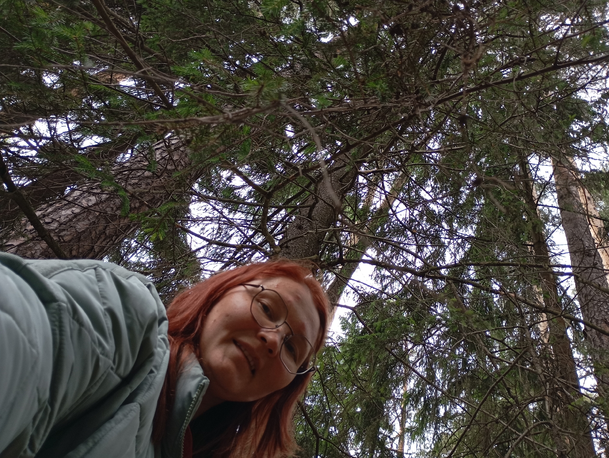 The image presents an intimate, low-angle perspective from within a dense evergreen forest, likely situated in Chaikovsky, Russia. In the lower left corner, a person with long reddish-brown hair and round-framed glasses looks slightly upwards with a subtle smile. They are wearing a light green or teal quilted jacket.
The majority of the frame is dominated by the intricate network of dark branches and lush green needle-like foliage of numerous coniferous trees, extending upwards to fill the sky. Patches of bright, possibly overcast, sky are visible through the gaps in the dense canopy, indicating it is daytime. The rough, textured bark of several tree trunks is also discernible amidst the branches. The scene conveys a sense of being immersed deep within a natural woodland environment. The person's expression suggests contentment or enjoyment of their surroundings during what appears to be a leisurely walk or exploration. There is no visible text in the image.