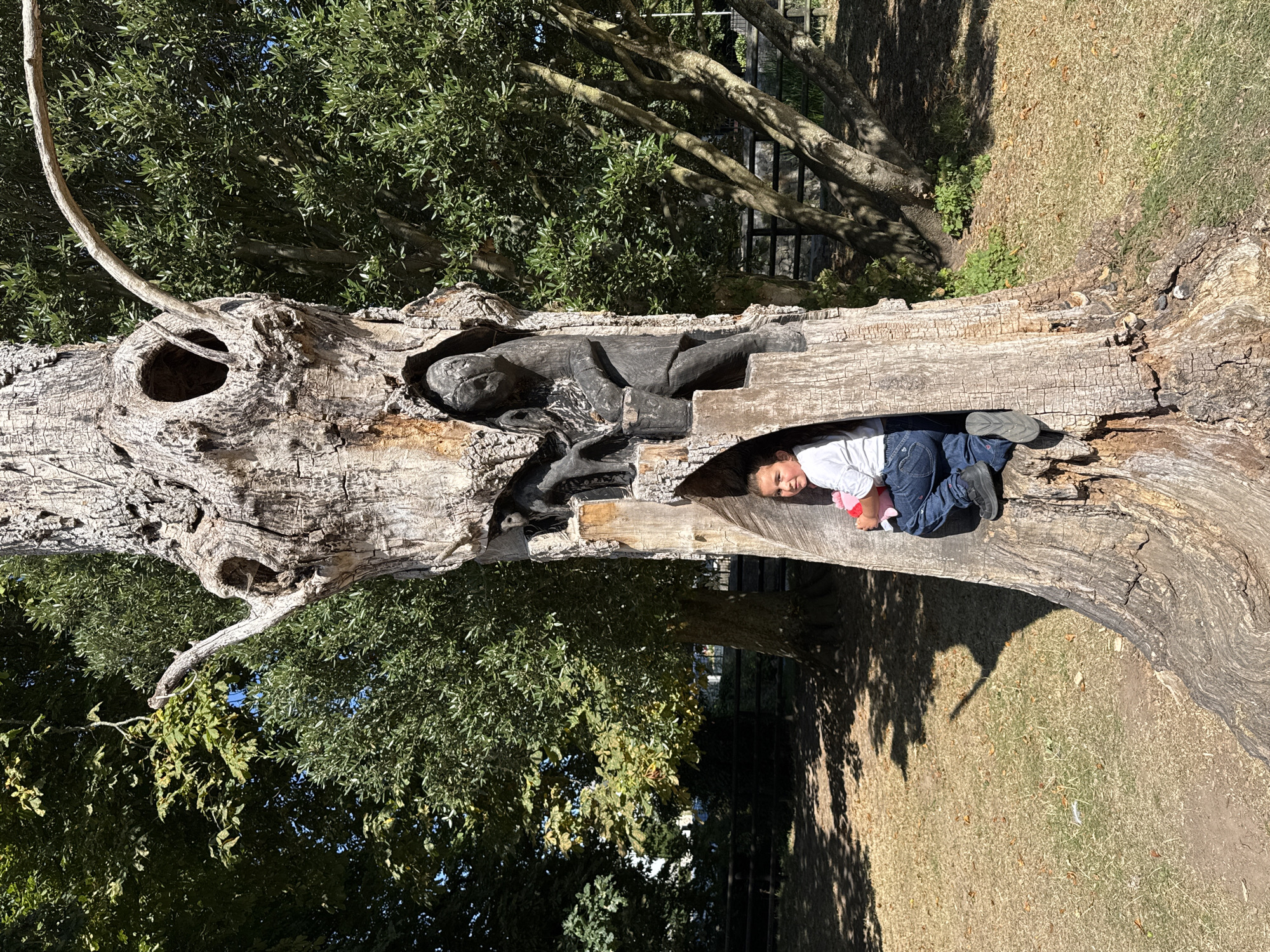The image depicts a young girl sitting in a hollowed-out tree trunk. The tree is old and weathered, with intricate carvings of figures and animals embedded within its structure. The girl is wearing a white shirt and blue jeans, and she is holding a pink toy. She is looking at the camera and smiling. The tree is located in a grassy area, with trees and foliage in the background. The scene is well-lit by sunlight. The carvings in the tree appear to depict a historical or mythological scene, possibly related to Irish folklore. The girl's presence in the tree suggests a playful interaction with the art installation.
