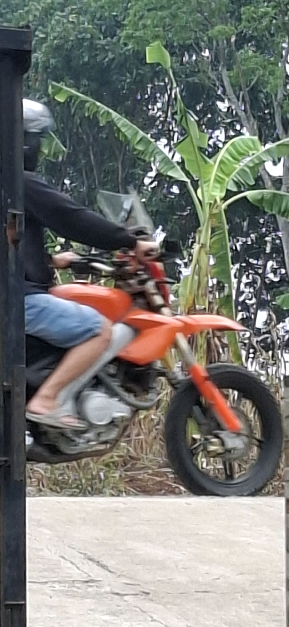 An individual wearing a black long-sleeved shirt, blue shorts, and a black helmet is seated on an orange and silver dirt bike. The bike has a black tire and an orange fender. The person is wearing a sandal on their left foot. They are positioned on a dirt road with green foliage and banana trees in the background. The scene is outdoors.