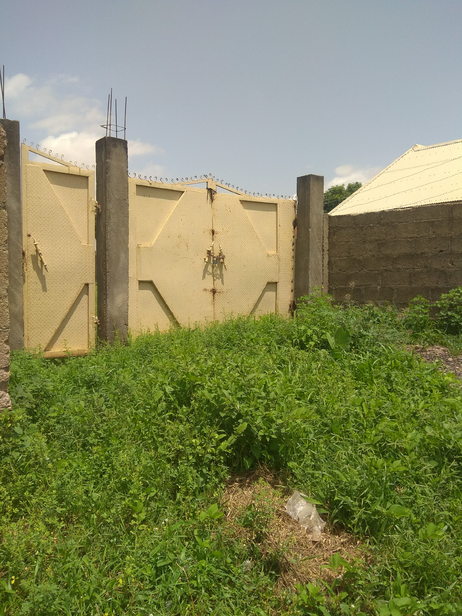 A pair of yellow metal gates, each with a diamond plate pattern, stands closed. The gates are flanked by rough concrete pillars topped with rebar and barbed wire. To the right of the gates, a brick wall topped with a light-colored corrugated metal roof is visible. The scene is overgrown with lush green grass and some weeds, suggesting a natural or neglected area. A crumpled plastic bag lies on the ground in the foreground, amidst the vegetation. The sky is a pale blue with a few wispy clouds, indicating a daytime scene. The overall impression is one of an unfinished or somewhat derelict construction site, possibly in a rural or semi-rural setting. There is no text visible in the image.