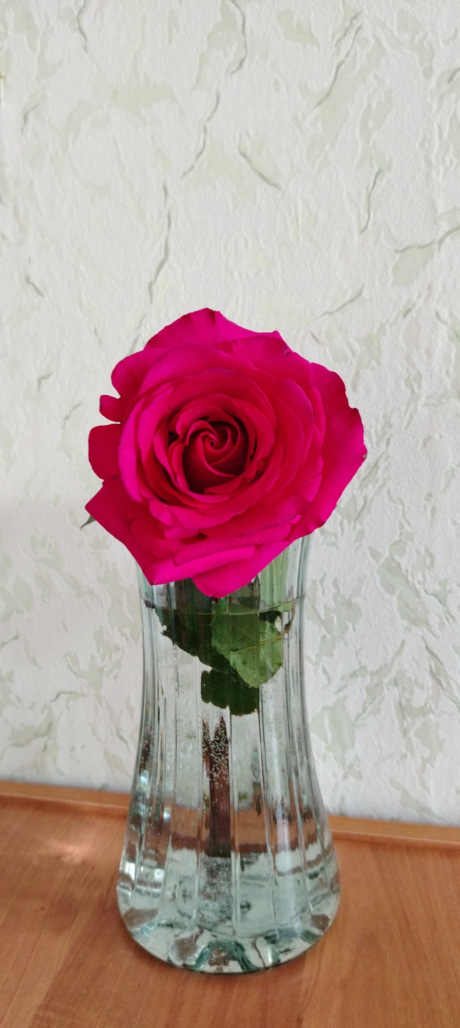 A magenta rose is in a clear, fluted glass vase filled with water. The vase sits on a wooden surface, likely a table. Behind the vase is a textured, off-white wall. The location is not apparent from the image.