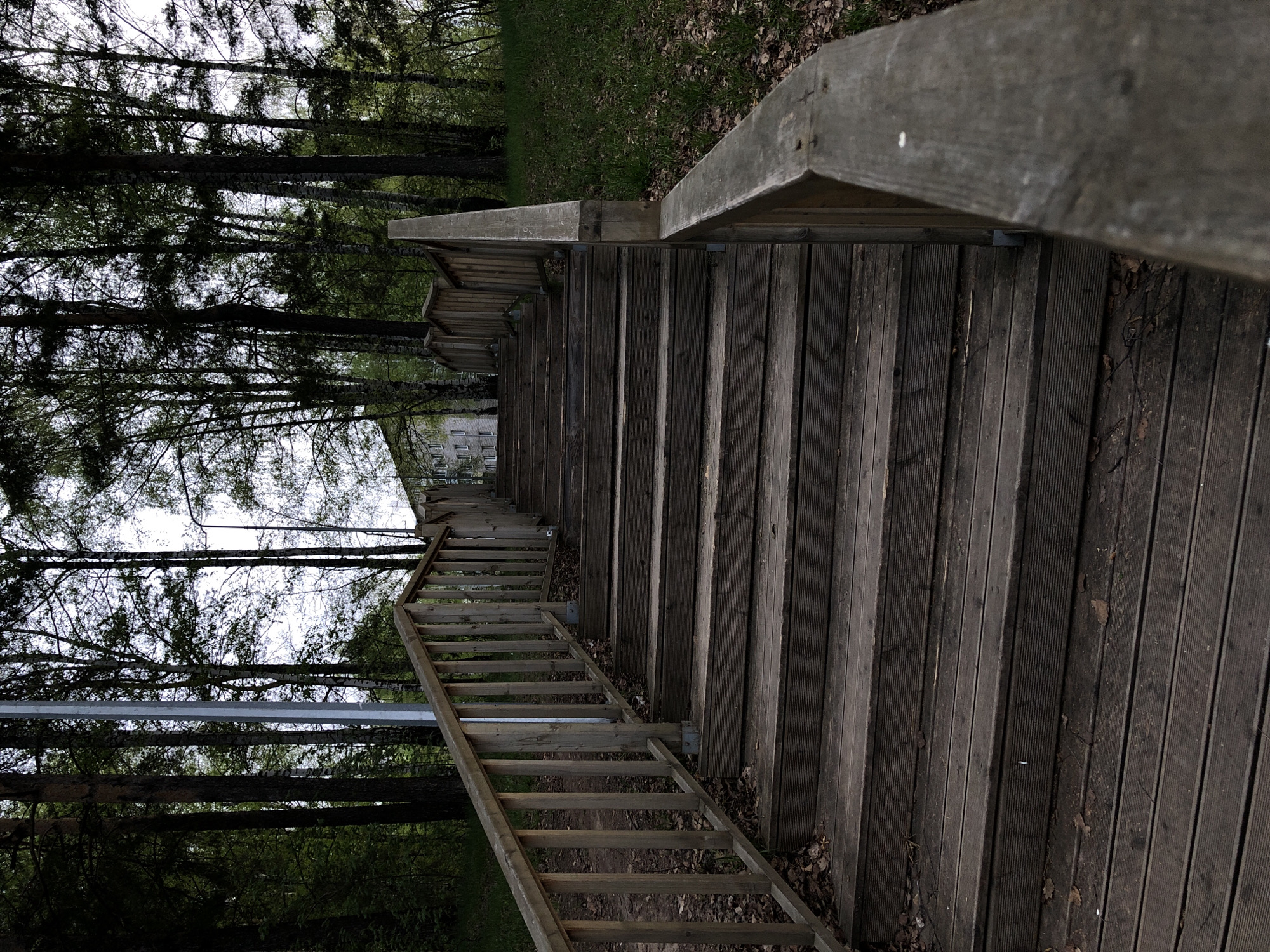 The image depicts a long, wooden staircase leading upwards through a wooded area. A handrail runs along the right side of the stairs, constructed from the same wood as the steps. A ladder-like structure sits to the left of the main staircase. Trees line the path on either side, creating a sense of enclosure. In the distance, a building is faintly visible. The location is likely the city of Chaikovsky, Russia. The overall atmosphere of the scene is one of quiet solitude and natural beauty. The angle of the picture makes the staircase appear to climb a steep incline.