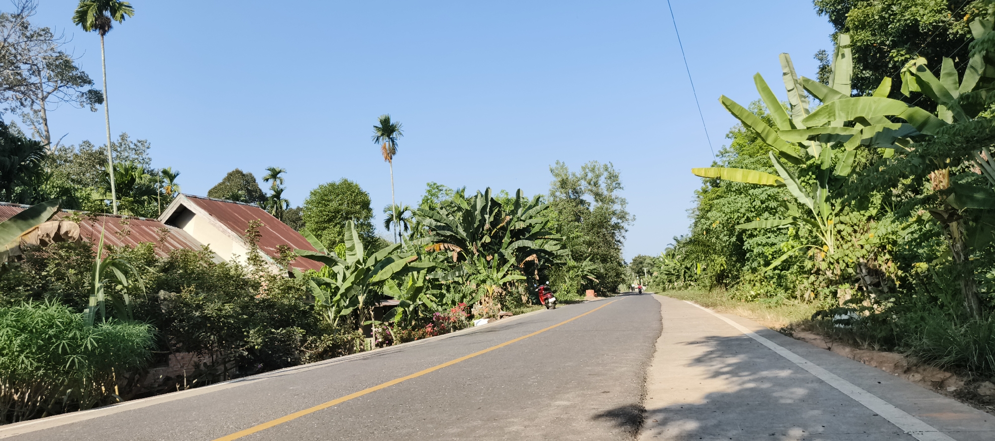 The image depicts a rural road scene in Muaro Jambi, Indonesia, under a clear blue sky. The road, asphalted and marked with a yellow line, curves slightly to the right, bordered by lush green vegetation on both sides. On the left, a reddish-roofed house with pale walls is partially visible, surrounded by dense foliage and banana trees. A red motorcycle is parked on the side of the road in front of the house. Further down the road, two figures, likely on motorcycles, are visible in the distance. The right side of the road is dominated by a dense wall of greenery, with large banana leaves prominent. The overall impression is one of a serene, tropical rural landscape.