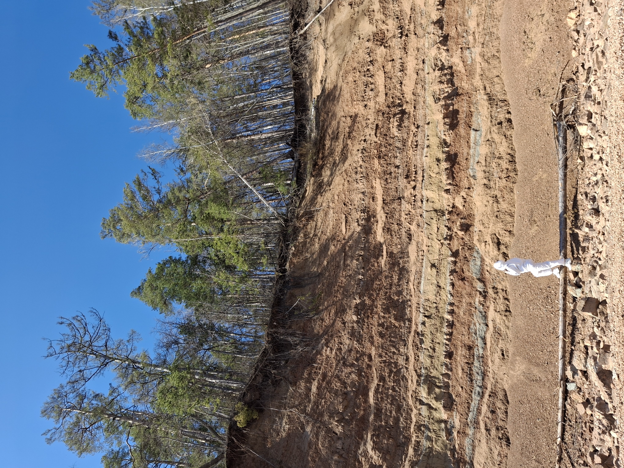 The image shows a cliff face with trees at the top against a clear blue sky. A person in a white hazmat suit stands at the base of the cliff. The cliff face exhibits layered sediment. A large wooden post lies horizontally on the ground parallel to the cliff. The location is Noviy, Russia.