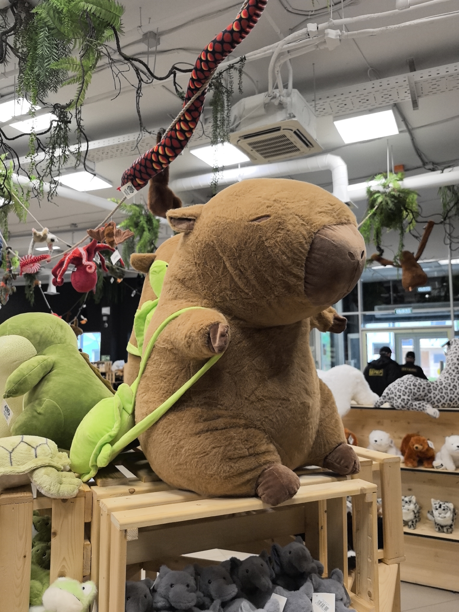 A close-up shot taken indoors, potentially a store, depicts a large, stuffed, brown capybara toy sitting atop stacked wooden crates. It has a lime green strap resembling a backpack. To its left are green plush turtles and a larger green plush toy. Below the capybara, other stuffed animal toys are visible. In the background, other shelves of stuffed animals can be seen along with people in the distance. Above, there are artificial vines and greenery hanging from the ceiling, and also a patterned stuffed snake. The location may be the city of Perm, Russia.