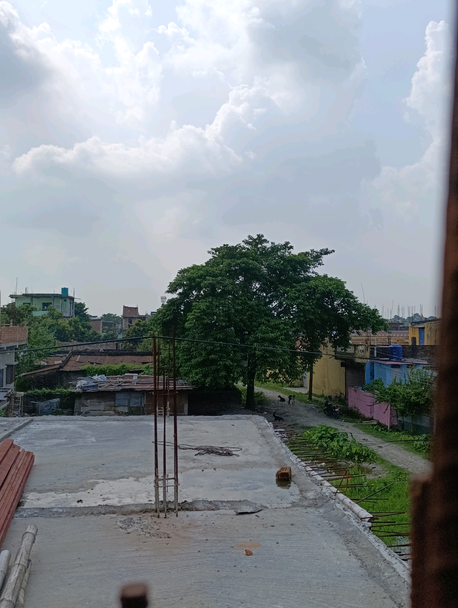 The image is a view from a rooftop in Biratnagar, Nepal, looking out over a suburban landscape under a cloudy sky. In the foreground, a concrete rooftop under construction is visible, with rebar and construction materials present. A large, leafy green tree dominates the middle ground, situated next to a dirt road. Several dogs are present near the tree, and a motorcycle is parked on the side of the road. Beyond the tree, various buildings, including houses and shops with colorful facades, are scattered throughout the scene, interspersed with more greenery. The sky is filled with large, white clouds, suggesting an overcast or potentially rainy day. The overall impression is one of a developing urban or semi-urban environment with a mix of construction and residential elements.