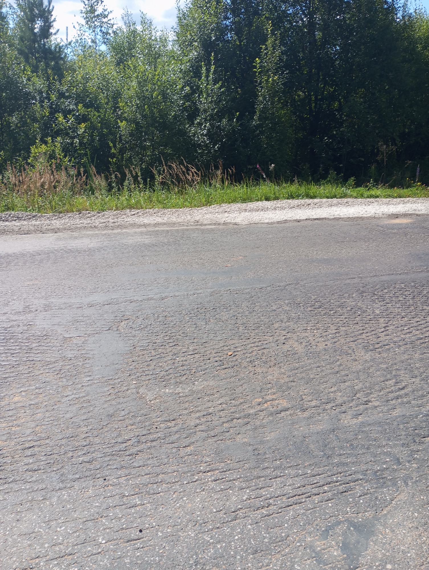 The image shows a paved road with a textured surface in Alabukhino, Russia. To the left and behind the road, there is a dense line of green trees and vegetation, with some dry grasses in the foreground. The sky above is partly cloudy. The road surface itself is a dark gray asphalt with a distinct pattern of parallel grooves running across it, suggesting it may be a newly paved or repaired section of the road. There are no people, vehicles, or other significant objects or activities depicted in the scene. The overall impression is one of a rural or semi-rural roadside environment on a clear day.