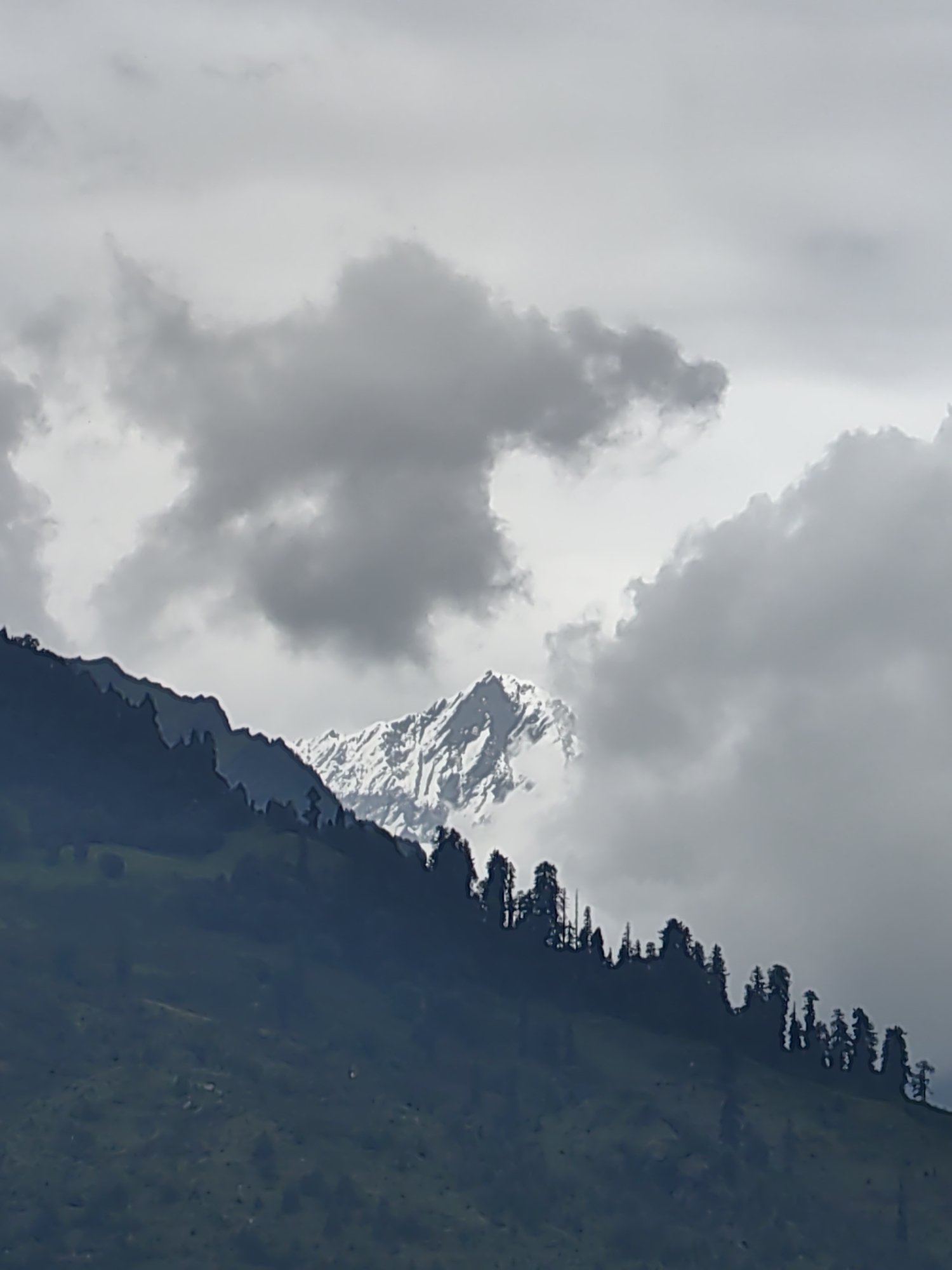 The image depicts a majestic mountain peak capped with snow, peeking through a dramatic sky filled with dark, heavy clouds. In the foreground, a lush green mountainside slopes downward, densely populated with dark green coniferous trees. The overall atmosphere is moody and overcast, suggesting a day with uncertain weather. The scene is characteristic of the mountainous terrain found around Vashisht, India, known for its scenic beauty and challenging elevation. There are no people or observable actions in the image.