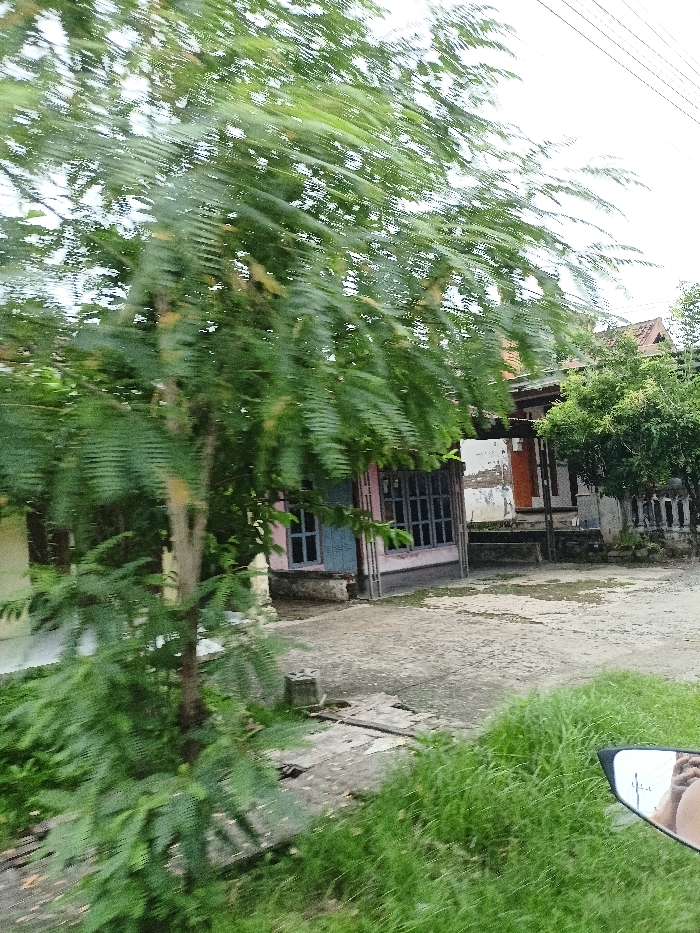 This image captures a daytime scene from a moving vehicle, likely a motorcycle, showing a residential area. In the foreground, a large tree with green leaves occupies the left side, heavily blurred due to motion, indicating movement. To the right of the tree, patches of green grass are visible, and in the bottom right corner, a rearview mirror reflects a person's bare leg or knee.
The midground features several houses or buildings. On the left, a house with a distinct pink facade and blue window frames is prominent. Further back and to the right, another building appears older, with a partially visible brown roof and what looks like a weathered, light-colored wall. The architecture, including the rooflines and building styles, suggests a local setting consistent with Pungging, Indonesia. The ground is a mix of dirt and uneven concrete or paving.
The sky is bright and appears overcast, diffusing the daylight. The overall scene suggests a journey through a residential neighborhood or village. There is no visible text in the image.
