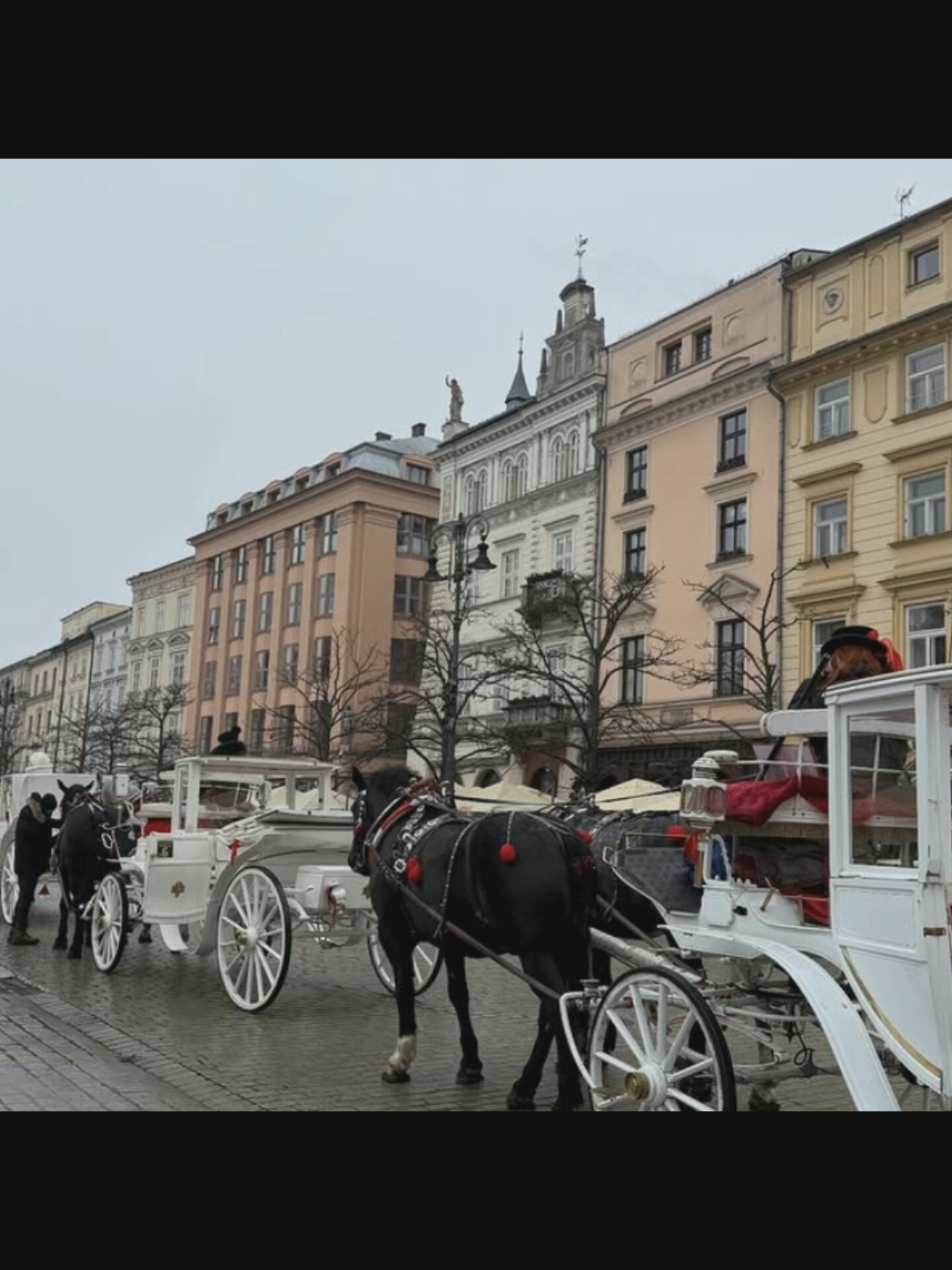 This is a photograph taken on a cloudy day, showing a street scene in Bucharest, Romania. In the foreground, there are two horse-drawn carriages. The carriage on the right is white and ornate, with its door open. A person wearing a black hat and a red-trimmed coat is seated inside. The carriage on the left is also white and is being attended by a person wearing a dark jacket and brown pants. Two black horses are harnessed to this carriage. A third black horse, adorned with red pom-poms and a decorated harness, is visible in the center of the image, pulling a white carriage. The horses' hooves are resting on a wet, paved surface, suggesting recent rain.
In the background, a row of multi-story buildings lines the street. These buildings vary in color, with shades of beige, pink, and yellow, and feature classical architectural elements such as arched windows and decorative facades. Bare trees with dark branches are interspersed between the buildings and in front of them, indicating it is either late autumn or winter. The sky is overcast and grey, contributing to the subdued lighting of the scene. The overall atmosphere is serene and somewhat historic.