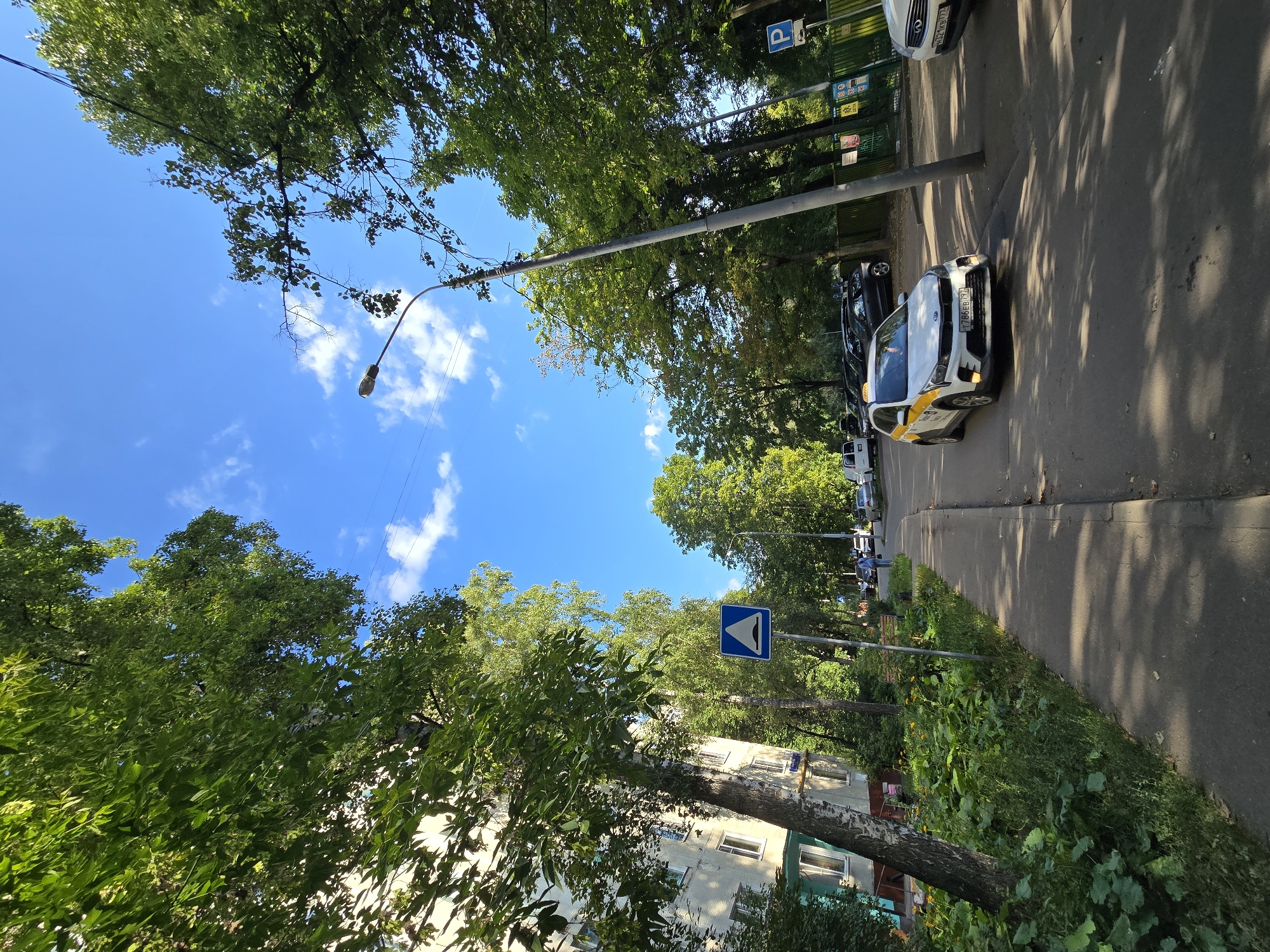 The image depicts a sunlit street scene in Moscow, Russia, likely during summer. Tall deciduous trees with lush green foliage line both sides of a paved road and a sidewalk. The sky is a vibrant blue with scattered white clouds. On the left, a multi-story apartment building with light-colored facade and visible windows stands partially obscured by trees. A pedestrian walkway runs alongside the building, bordered by dense green vegetation and some yellow wildflowers.
A white taxi with yellow and black markings is driving on the road. The taxi's headlights are on. Several parked cars are visible further down the road, and one car is parked on the right side of the street. Traffic signs are present, including a blue square sign with a white triangular hump indicating a speed bump, and a blue square sign with a white "P" indicating parking. A lamppost stands along the sidewalk. A lone person is walking away from the camera on the sidewalk. The ground is asphalt, with shadows cast by the trees and a lamppost. The overall impression is a typical urban environment with a significant presence of greenery.