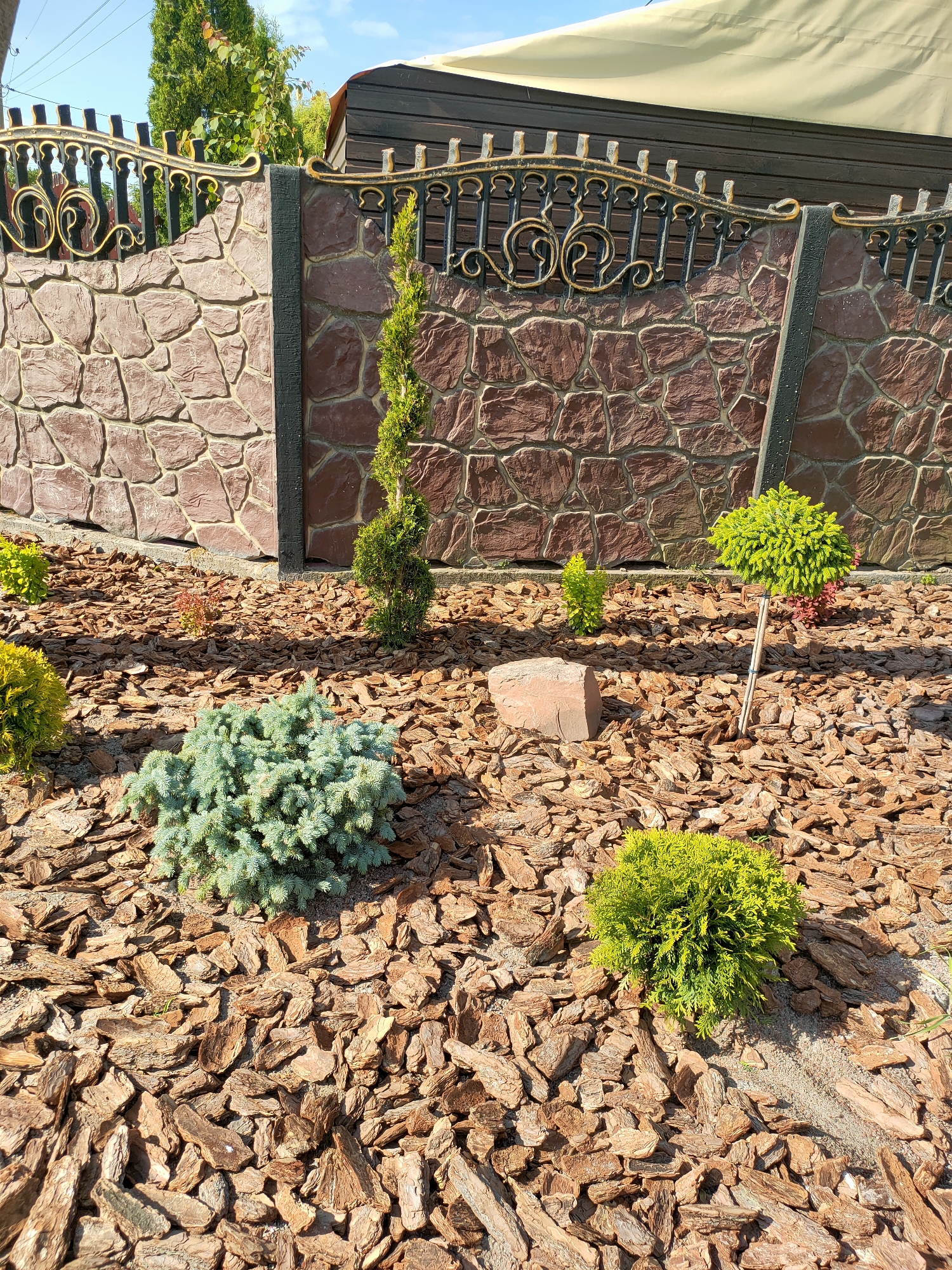 The image depicts a garden bed in Nosivka, Ukraine, featuring a stone-patterned fence with decorative metal elements. The ground is covered with wood chips, and several small coniferous shrubs are planted. To the left, a rounded, light green shrub is visible. In the center, a blue-green conifer is planted, and to its right, a spirally shaped green conifer stands tall. Further to the right, another rounded, bright green shrub is staked to the ground with a bamboo pole. A small reddish-leafed plant is situated between the spirally shaped conifer and the staked green shrub. A single, roughly cubic stone lies in the middle of the wood chip mulch. The background shows a dark wooden fence topped with a light-colored awning. The sky is visible and appears clear with some clouds.