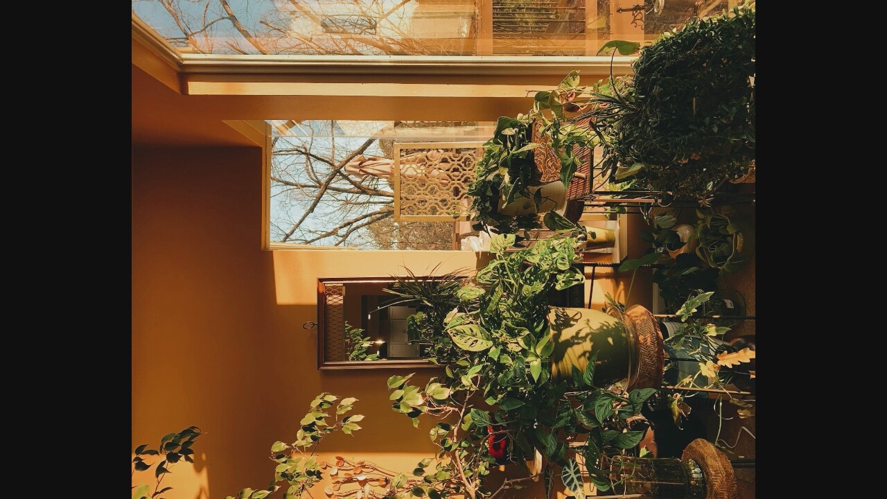 The image depicts an indoor scene filled with numerous potted plants bathed in warm, golden-hour light. The plants vary in size and type, with some large specimens in prominent positions and smaller ones arranged on shelves and stands. Sunlight streams through a large window, casting long shadows across the room and illuminating the foliage. The walls are painted a warm, earthy tone. In the background, a mirror reflects part of the interior, and through the window, bare tree branches and a clear blue sky are visible, suggesting an outdoor environment during a season with deciduous trees. The overall impression is one of a cozy, plant-filled interior space enjoying natural light. There are no people or visible actions in the scene.