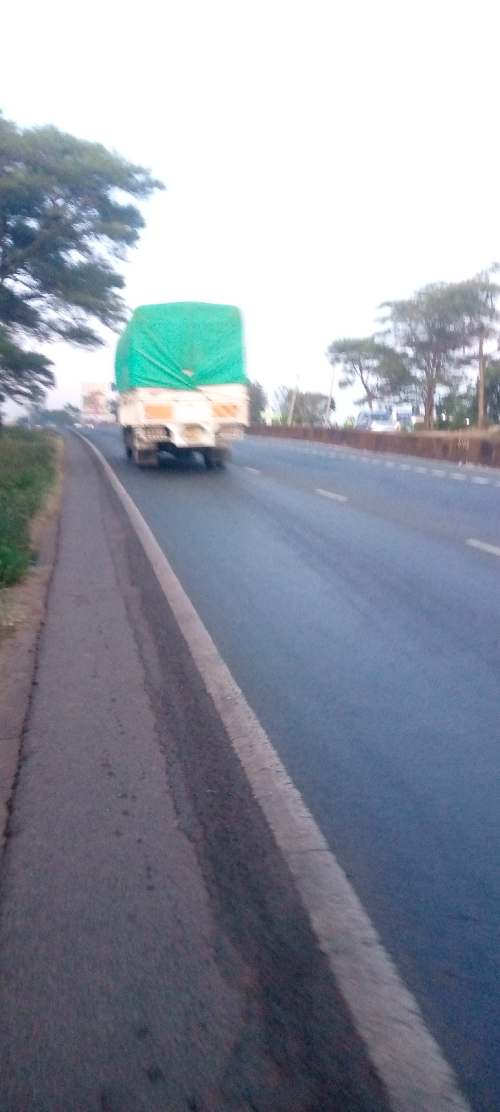 A highway stretches into the distance, with a truck covered in green tarp moving along the right lane. A gray shoulder runs along the left side of the road, separated by a white line. Trees line both sides of the highway, their silhouettes visible against a bright, overcast sky. The image appears slightly blurry, likely due to motion or focus. The truck's rear is visible, revealing its white body and dual tires.