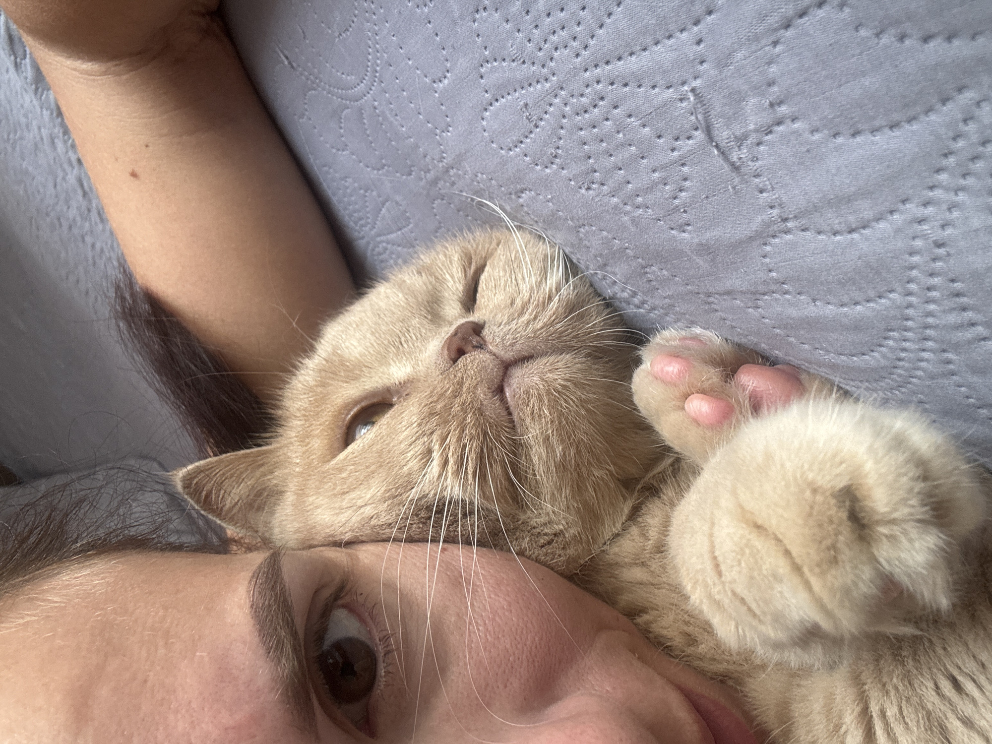 An overhead, close-up shot shows a person and a ginger cat resting together on a gray, quilted blanket. The person's left eye, eyebrow, and cheek are visible in the left of the frame, their gaze directed towards the camera. Next to them, the cat is nestled close, its head resting on the blanket. The cat's ginger fur is soft and fluffy, and its pink paw is visible in the lower left corner of the image. The cat's face is partially obscured, but its nose and one eye are visible. The blanket appears to be made of a soft fabric with a textured pattern. The overall impression is one of comfort and affection.