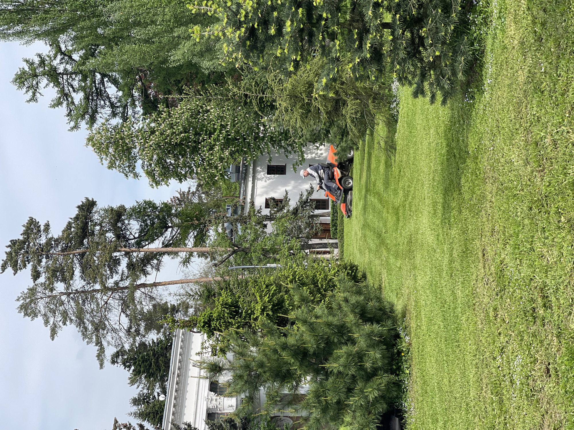 A medium shot shows a man mowing a large lawn in front of a white building, possibly a house or estate, in an unknown city. The man, wearing a hat and jacket, operates an orange riding lawn mower. The grass is green and well-maintained, with clear stripes indicating recent mowing. Lush greenery, including tall trees and bushes, surrounds the lawn and partially obscures the building. The sky is overcast, suggesting a cloudy day.