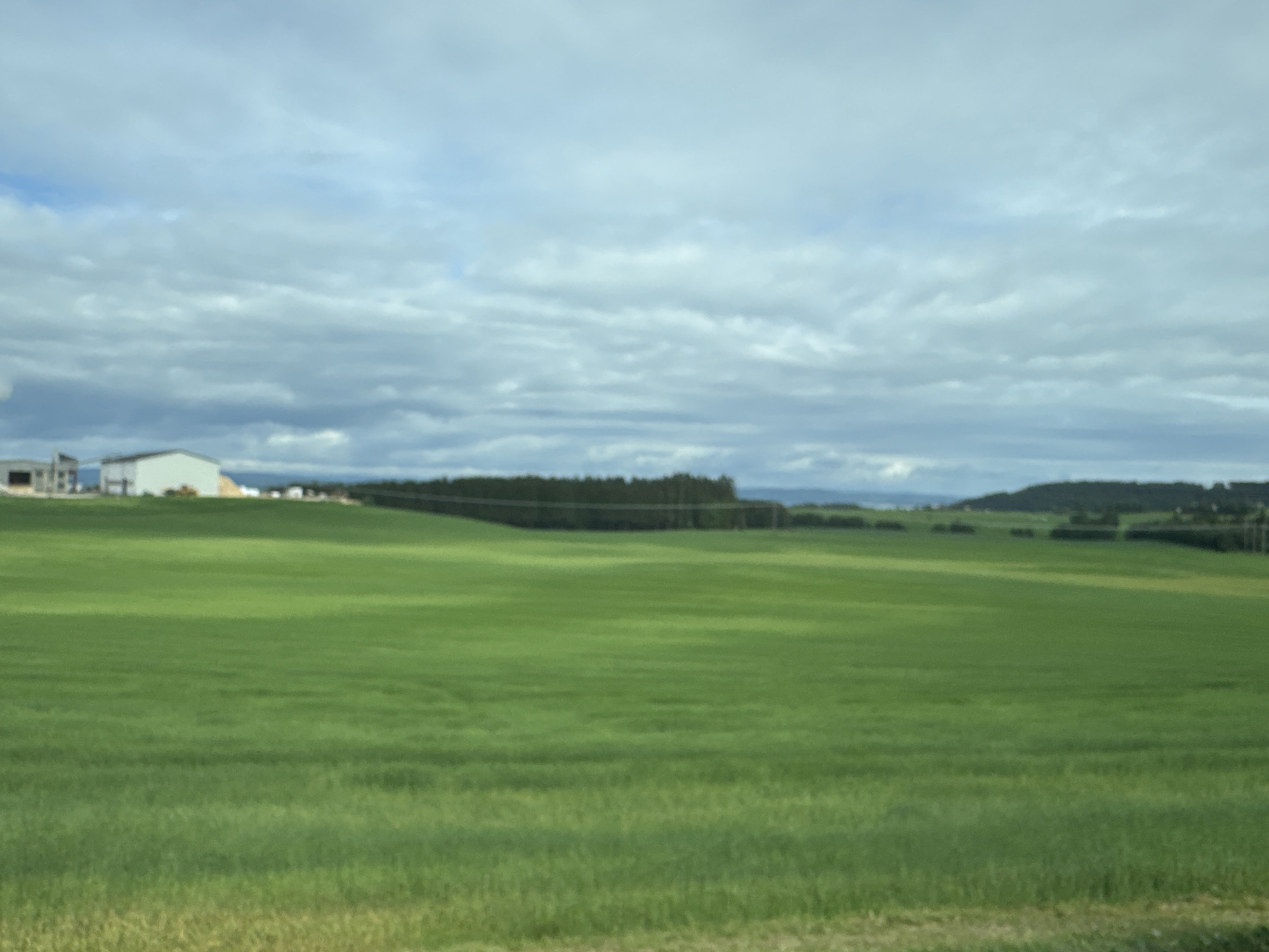 The image depicts a vast, bright green field under a cloudy sky. In the distance, several white industrial buildings are visible on the left side, suggesting a rural or semi-industrial setting. A dense line of dark green trees forms a horizon across the middle ground, with rolling hills beyond. The sky is filled with dramatic, grey and white clouds, indicating a potentially overcast or stormy day. The lighting suggests it could be daytime, possibly late afternoon or early evening due to the diffused light. The overall scene conveys a sense of open space and natural landscape, with human structures present but not dominant. There is no visible text in the image. The location is identified as Levanger, Norway.