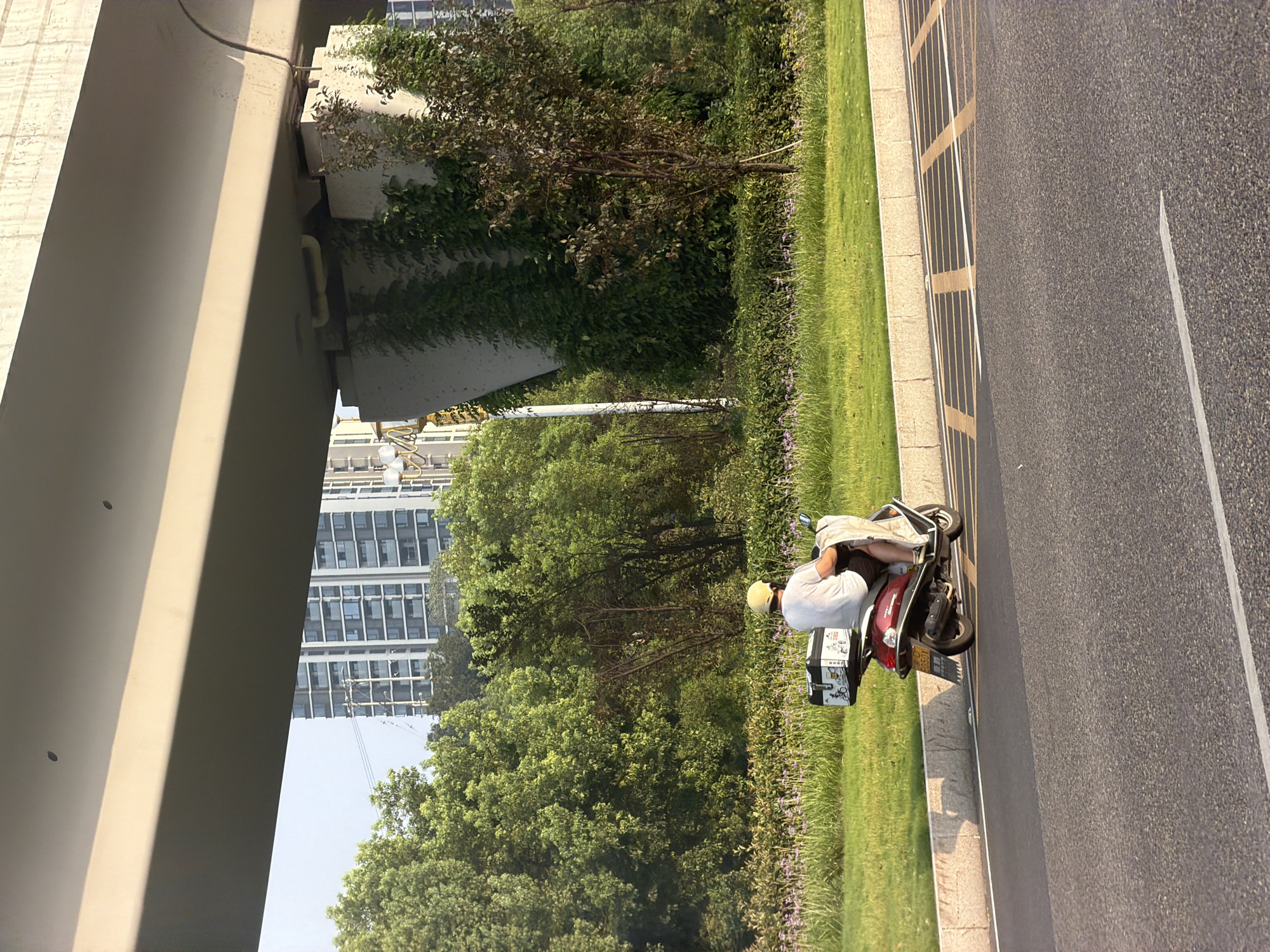 In Jiangjin, China, a person wearing a yellow helmet rides a red scooter on a paved road, moving from left to right. The scooter has a white box on the back with black lettering. The rider is wearing a white t-shirt and dark shorts, with a light-colored cloth draped over their lap. The scooter is traveling alongside a green grassy area bordered by a concrete curb. Behind the grass, there are rows of purple flowers and lush green trees. In the background, tall, modern buildings are visible, along with overhead structures that appear to be part of an elevated roadway or bridge. The sky is clear.