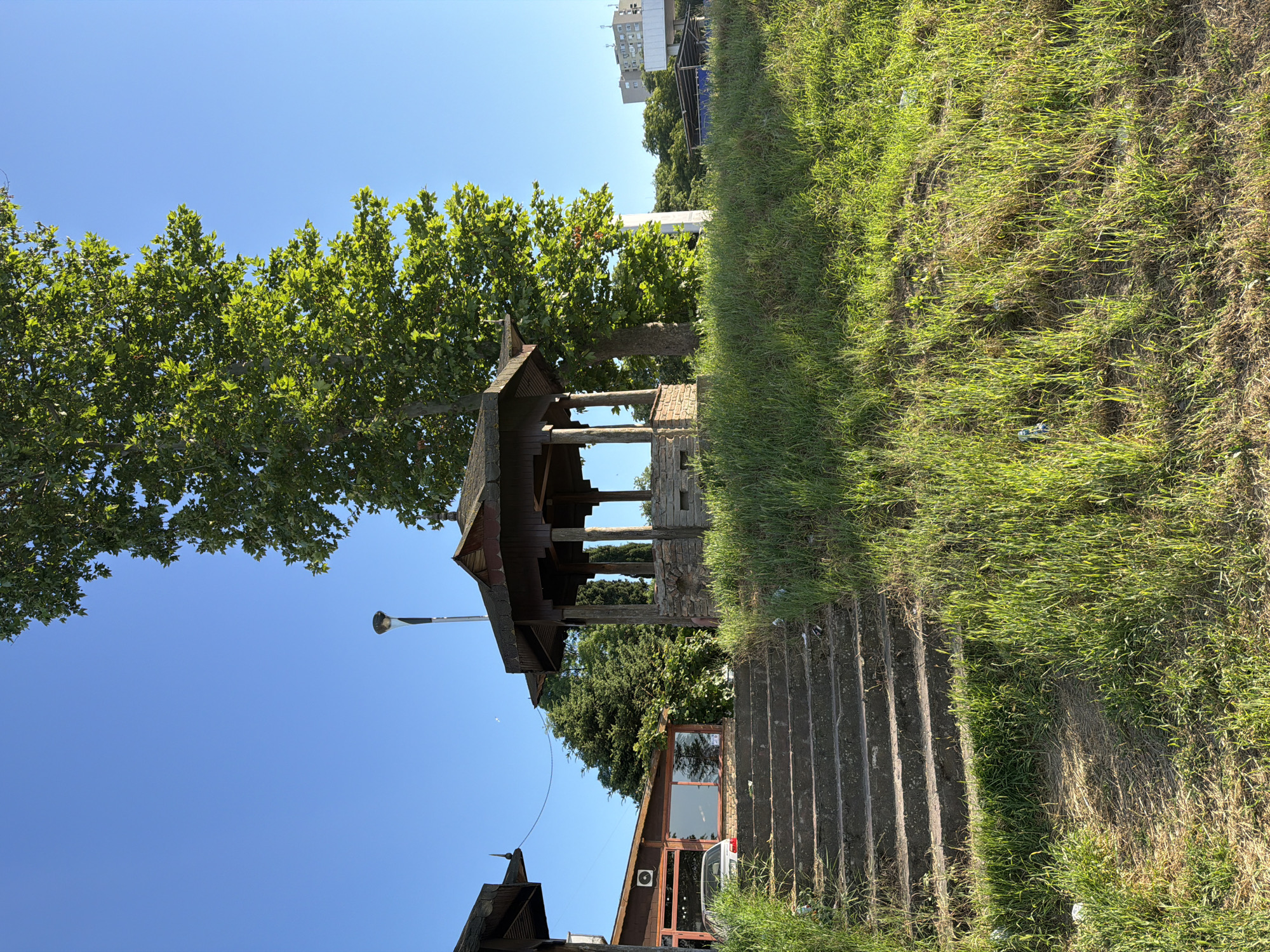 The image captures a sunny day in Varna, Bulgaria, with a clear blue sky overhead. In the foreground, a set of concrete stairs ascends a grassy incline covered in lush green grass, littered with some debris. To the left of the stairs is a building with a wooden facade and a large glass window, a portion of a silver car is visible parked outside. At the top of the stairs stands an open-air wooden gazebo with a tiled roof, supported by stone pillars. Behind the gazebo, a large, leafy tree dominates the scene, its branches reaching towards the sky. In the background, several other trees and buildings are visible, including a multi-story apartment building and a white structure. A street light is positioned near the gazebo.