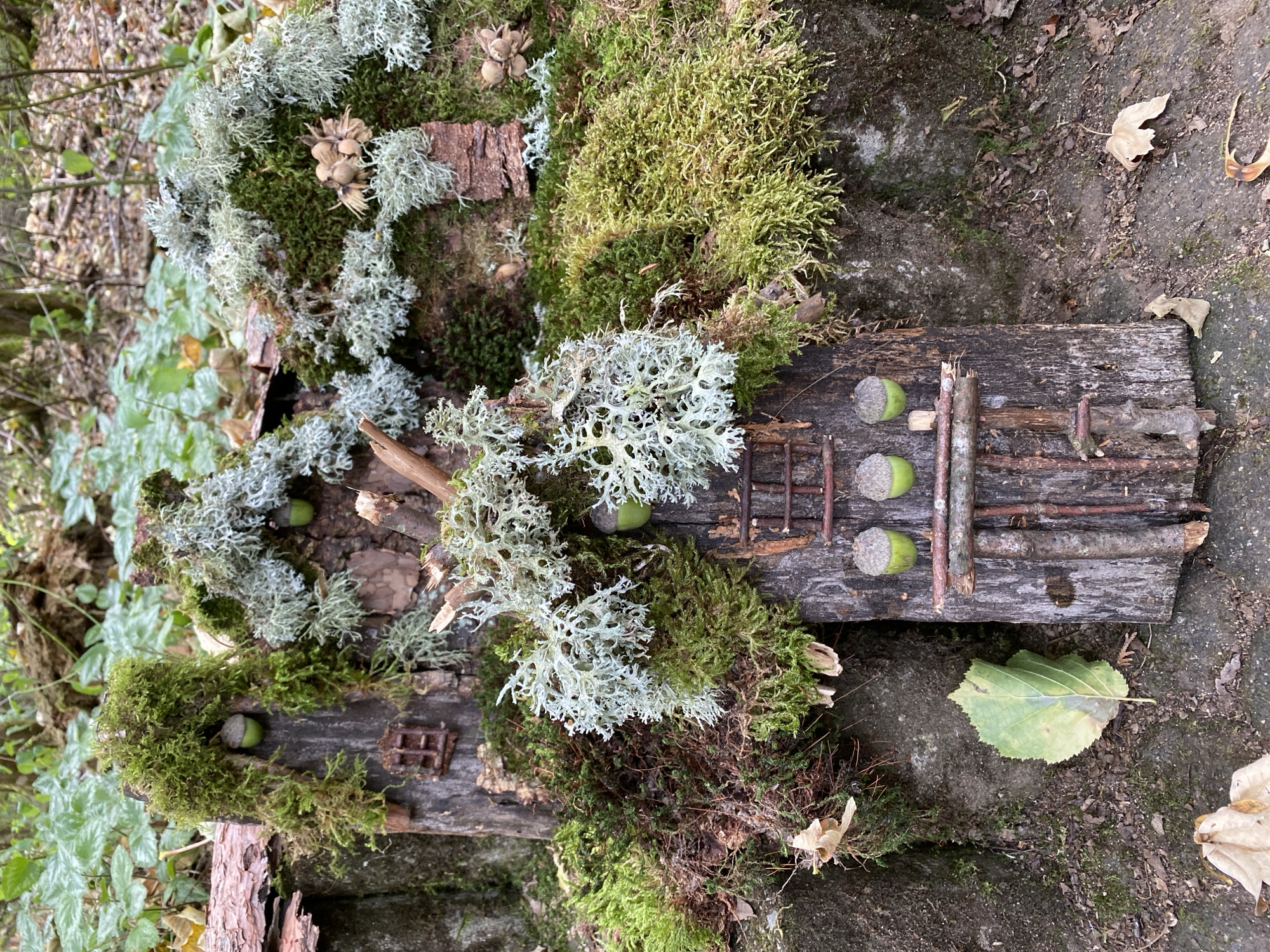 The image shows a miniature fairy house constructed from natural materials. The house is built into a natural embankment and appears to be located in a wooded area. The structure is made from pieces of bark and wood, adorned with moss and lichen. Acorns are used as decorative elements, resembling fruits or perhaps even windowsills or other architectural features. Small twig ladders are attached to some sections, suggesting entrances or pathways. The environment is rustic, with fallen leaves and exposed roots visible on the ground. The lighting suggests it is daytime, possibly overcast. There are no people or animals visible in the image. This scene is likely located outdoors, possibly in a park or garden setting within Altenkirchen, Germany, given the surrounding foliage and natural materials used in the construction of the fairy house.