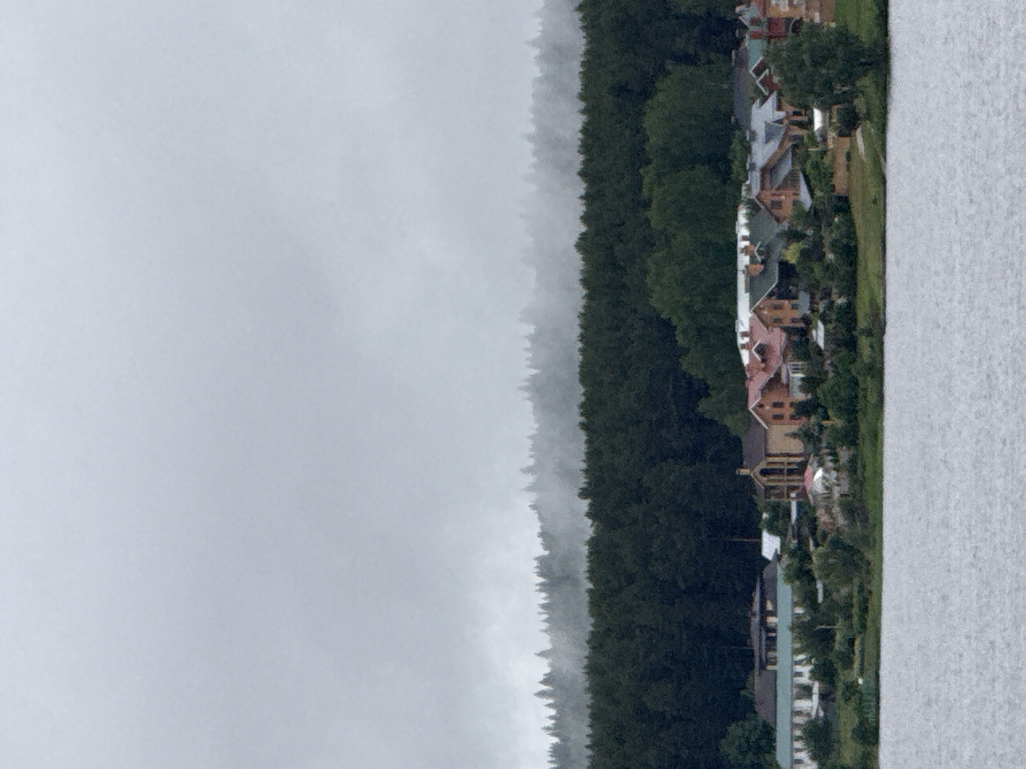 The image shows a landscape in Votkinsk, Russia. A dense forest line separates a body of water on the right from a cloudy, foggy sky on the left. To the right of the forest, along the water's edge, are buildings of what appears to be a residential area.