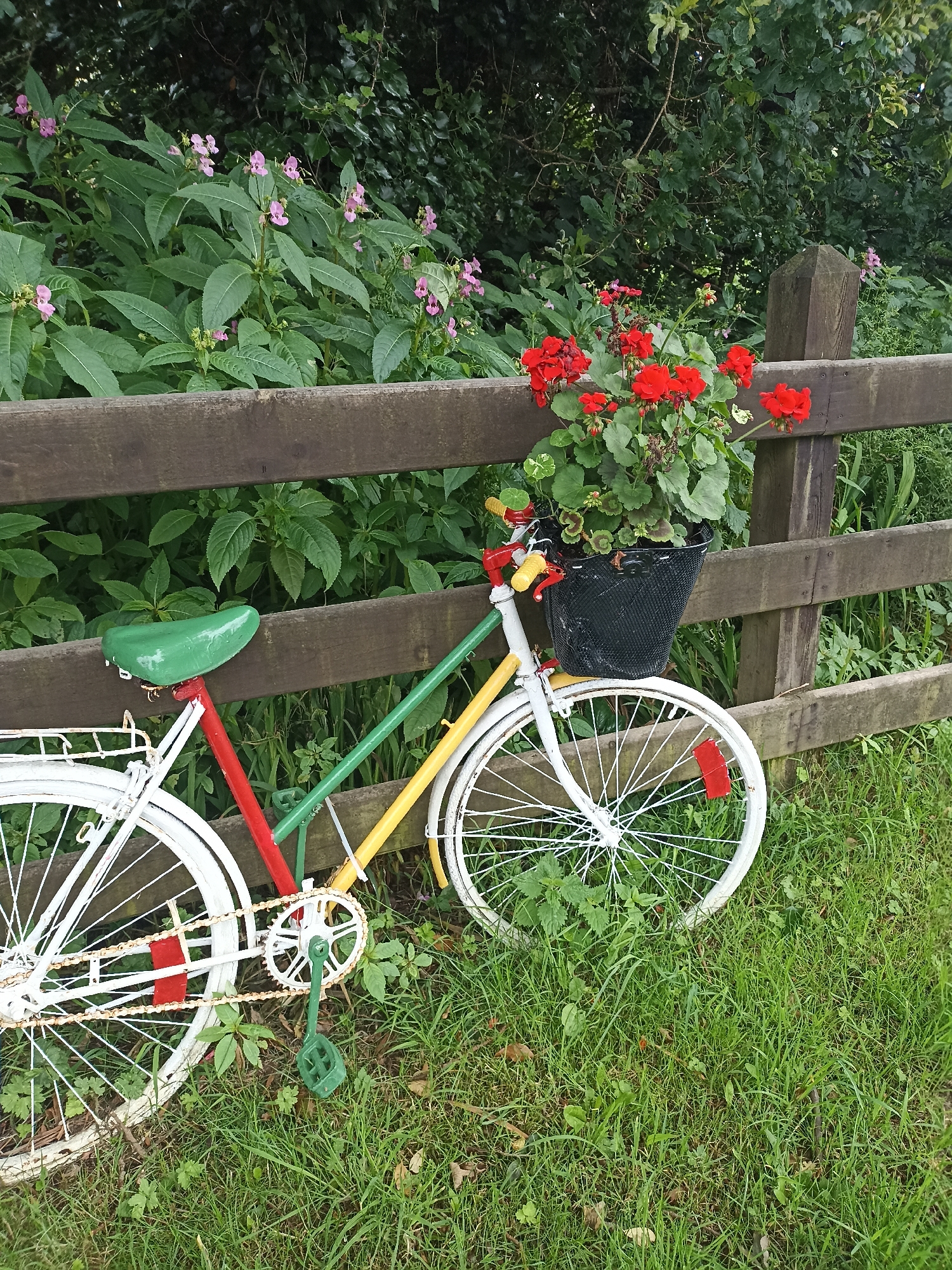 A brightly colored bicycle, painted white, red, green, and yellow, is leaning against a wooden fence in Annagry, Ireland. A black basket filled with vibrant red flowers is attached to the handlebars. The bicycle is resting on a grassy area with green leaves and small pink flowers visible behind the fence. The scene appears to be a charming, rustic outdoor setting.