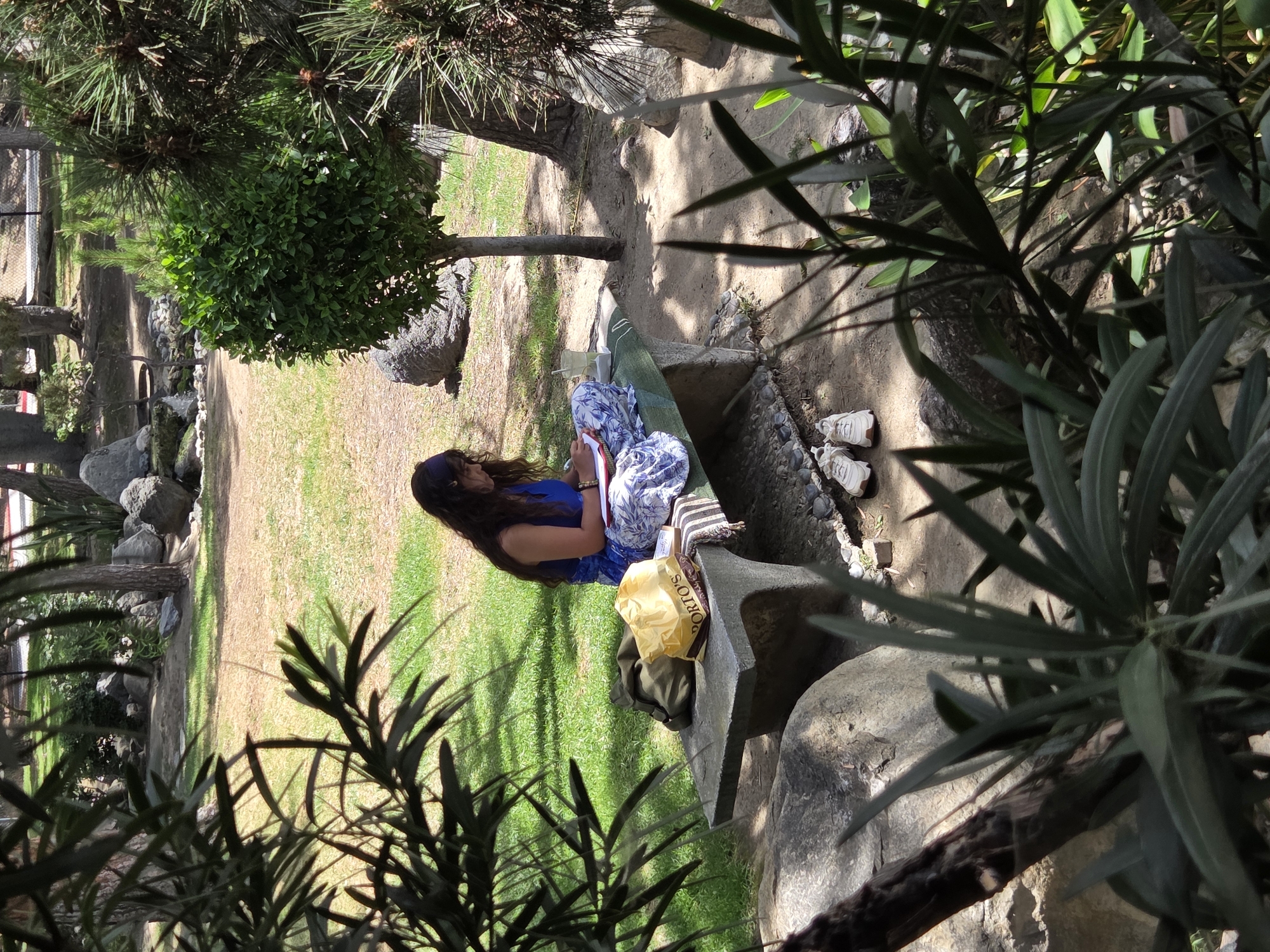 A young woman sits on a concrete bench in a park, writing in a notebook. She has long, dark, wavy hair and is wearing a blue sleeveless dress with a white and blue patterned skirt. She is wearing a purple headband. To her left on the bench is a green backpack and a yellow shopping bag. In front of her is a clear plastic cup with a straw and a small glass of liquid. To the right of the bench are a pair of white sneakers. The bench is surrounded by grass, trees, and rocks. The background shows more trees and a dirt path. The scene appears to be in a park in Glendale, California.