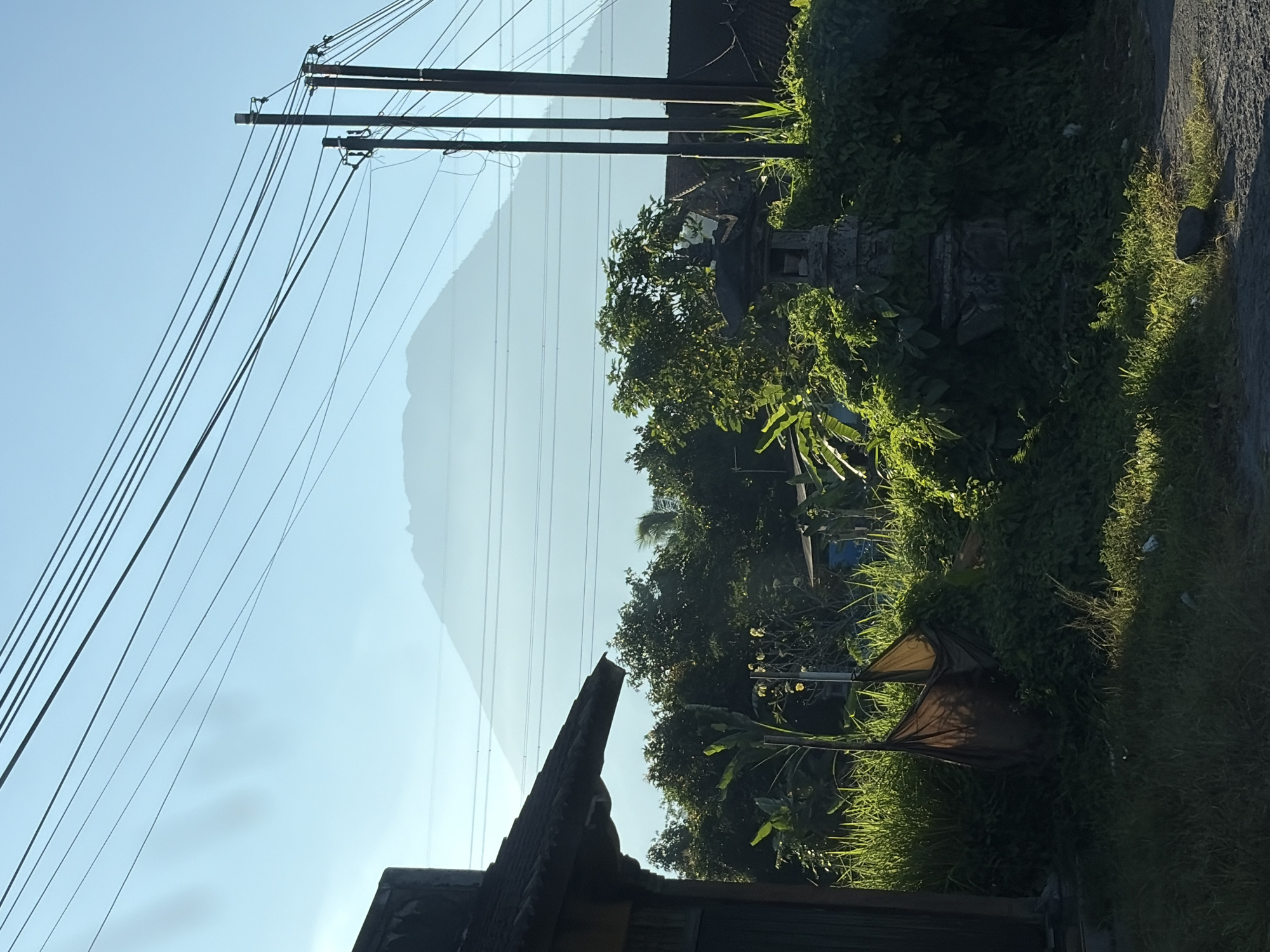 The image depicts a serene, rural landscape in Karangasem, Indonesia, dominated by a large, mist-shrouded mountain in the background. In the foreground, the scene is framed by a traditional Balinese house on the left, with its dark tiled roof and wooden structure. A collection of lush green vegetation, including tall grasses, banana plants, and dense foliage, covers the middle ground. Among the greenery, a stone lantern or shrine adds a cultural element. Power lines and wooden utility poles run diagonally across the sky, suggesting the presence of infrastructure within this otherwise natural setting. The lighting suggests it is either early morning or late afternoon, with the sun casting long shadows and highlighting the textures of the plants. There are no people visible in the image. The overall atmosphere is one of tranquility and natural beauty, characteristic of the Balinese countryside.