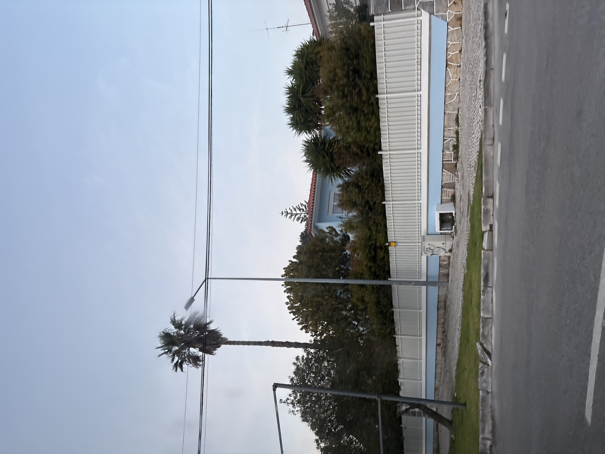 The image captures a static street scene, likely from a residential or suburban area, under a light blue, overcast or hazy sky. The perspective is from the road, looking towards houses and vegetation.
In the upper part of the image, several dark utility or power lines stretch horizontally across the sky. Two streetlights are visible: a tall one on the left, next to a prominent palm tree, and a shorter one in the immediate foreground, to the left of the road.
A tall palm tree with distinctive fronds stands on the left side, silhouetted against the sky. Behind it and extending along the street are dense green trees and shrubs, some with spiky, palm-like foliage. These plants partially conceal a light blue building, which features a reddish-brown tiled roof and an antenna. A tall, white slatted fence runs along the property line of this building, with a section of the building's facade visible above the fence having a decorative stone pattern. A grey utility box is attached to the fence near the sidewalk.
The lower and right portions of the image show the street. An asphalt road, marked with a white dashed line on its right edge, runs parallel to a strip of green grass. Next to the grass is a paved sidewalk, appearing to be constructed from cobblestones or large stone blocks.
The lighting is soft and diffuse, indicating either an overcast day or perhaps early morning or late afternoon. There are no people or vehicles visible in the scene, and no discernible text. The presence of palm trees and the building's architectural style suggest a location in a warmer climate.
