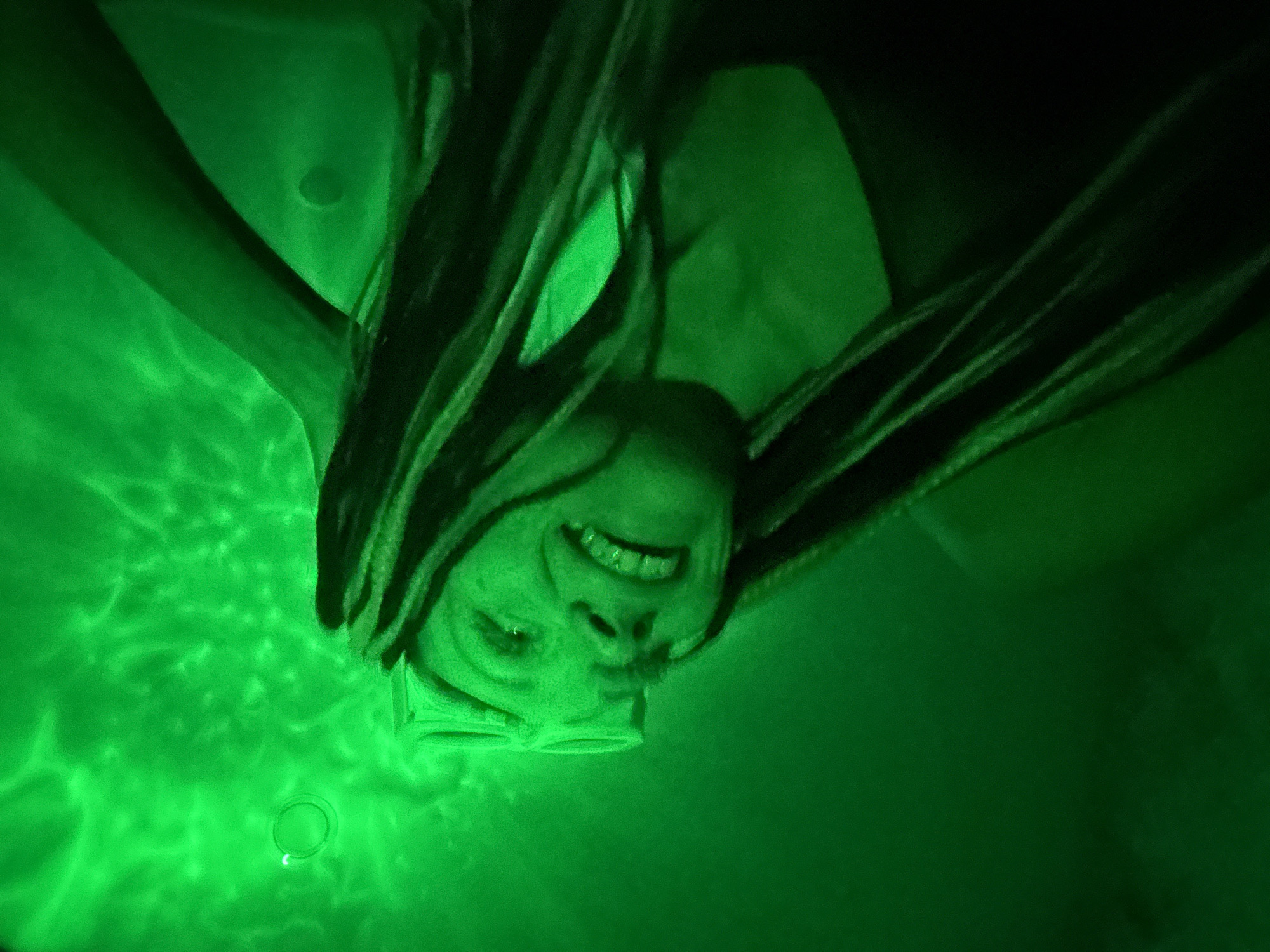 A woman is photographed upside down in a green illuminated environment. The location is likely a bathtub, given the presence of a filled tub. The woman is smiling and appears to be submerged in water, with her hair partially obscuring her face. She is wearing glasses. The scene is strongly lit with green light, casting distinct shadows and emphasizing the water's surface patterns. The location is not determinable from the image itself, nor can it be verified as Rusanovo, Russia.