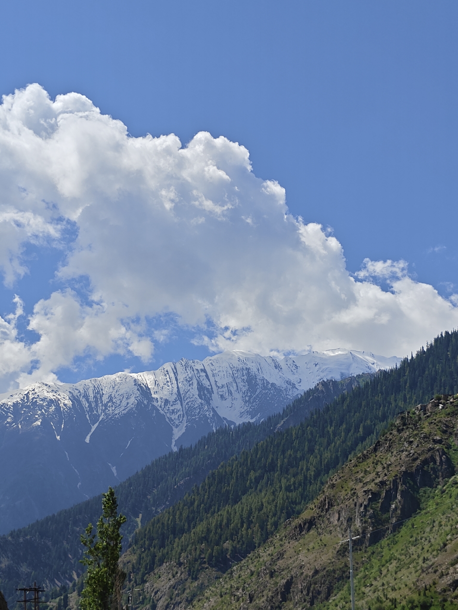 The image depicts a majestic mountain landscape under a clear blue sky with scattered white clouds. In the foreground, a steep, rocky slope covered with dense green pine trees dominates the right side of the frame. A few small, stone structures are visible nestled among the trees on the upper slopes. A single, tall green tree stands prominently in the lower left quadrant. Further in the background, a range of towering snow-capped mountains rises majestically, their jagged peaks stark against the sky. The scene suggests a remote, natural environment, likely a mountainous region. The location is identified as Kishorl, India.