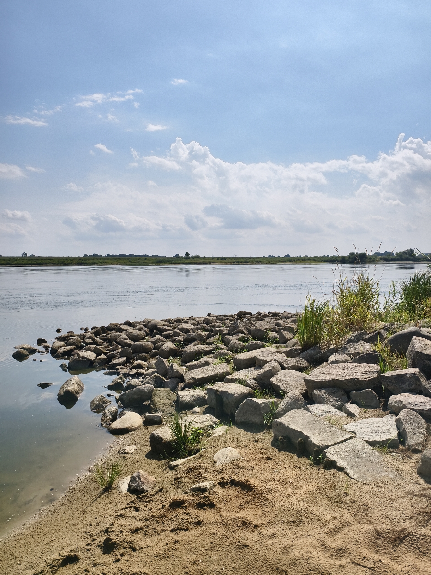 The image depicts a natural landscape with a body of water, a rocky shoreline, and a sandy area. The water appears calm and reflects the sky. The shoreline is composed of numerous grey and brown stones of various sizes, with some patches of green grass growing between them. The sandy area is textured with ripples and small indentations. In the background, a flat horizon line is visible, with a green strip of land dotted with trees and distant structures, possibly indicating a rural or suburban setting. The sky is a light blue, with scattered white cumulus clouds.
The scene is consistent with locations along the Vistula River in Tczew, Poland. Such areas often feature natural or reinforced riverbanks with stone revetments and sandy stretches, common for riverside parks or natural reserves within or near urban areas. There are no people or specific objects that would pinpoint an exact location within Tczew, but the overall environment is characteristic of the Vistula River embankment in this region.
