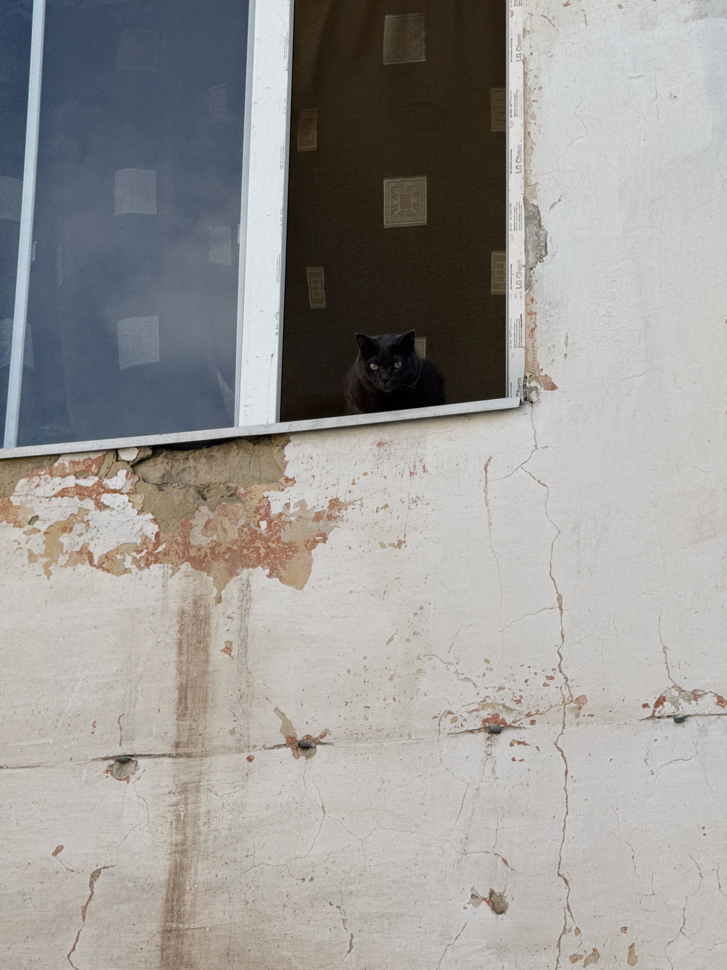 A dark gray cat with green eyes is sitting in an open window of a building. The building's exterior wall is weathered and shows signs of damage, with peeling paint and cracks. The window frame is white and appears to be made of plastic. The wall has a textured pattern and some stains. A dark curtain is visible behind the cat inside the building. The scene is an outdoor shot, likely in an urban environment, given the building's construction and the presence of a window. The image is taken from a slightly low angle, looking up at the cat. The lighting suggests it is daytime.