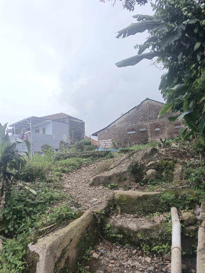 The image depicts an outdoor, elevated scene in Bien Hoa, Vietnam, under an overcast sky. The foreground features an unpaved, upward-sloping path comprised of gravel and small rocks. This path is bordered on the lower left by concrete structures, possibly steps or retaining walls, heavily covered in moss and small green plants. A white pipe is partially visible on the ground to the lower right. Lush green vegetation, including large banana-like leaves, flanks both sides of the frame and extends into the midground.
In the midground, two buildings are prominent. To the left, a two-story residential structure with a reddish-brown tiled roof is visible. Its upper floor has an open porch/balcony with white columns and railings, where clothing is hanging to dry. The walls are constructed from light blue painted and unpainted concrete blocks. To the right, a more utilitarian-looking building with a dark-colored roof displays a side wall of exposed, rough concrete blocks with several small, rectangular openings. The terrain between the path and the buildings is overgrown with weeds and shrubs. No individuals are present, and no specific actions or interactions are depicted within the scene.