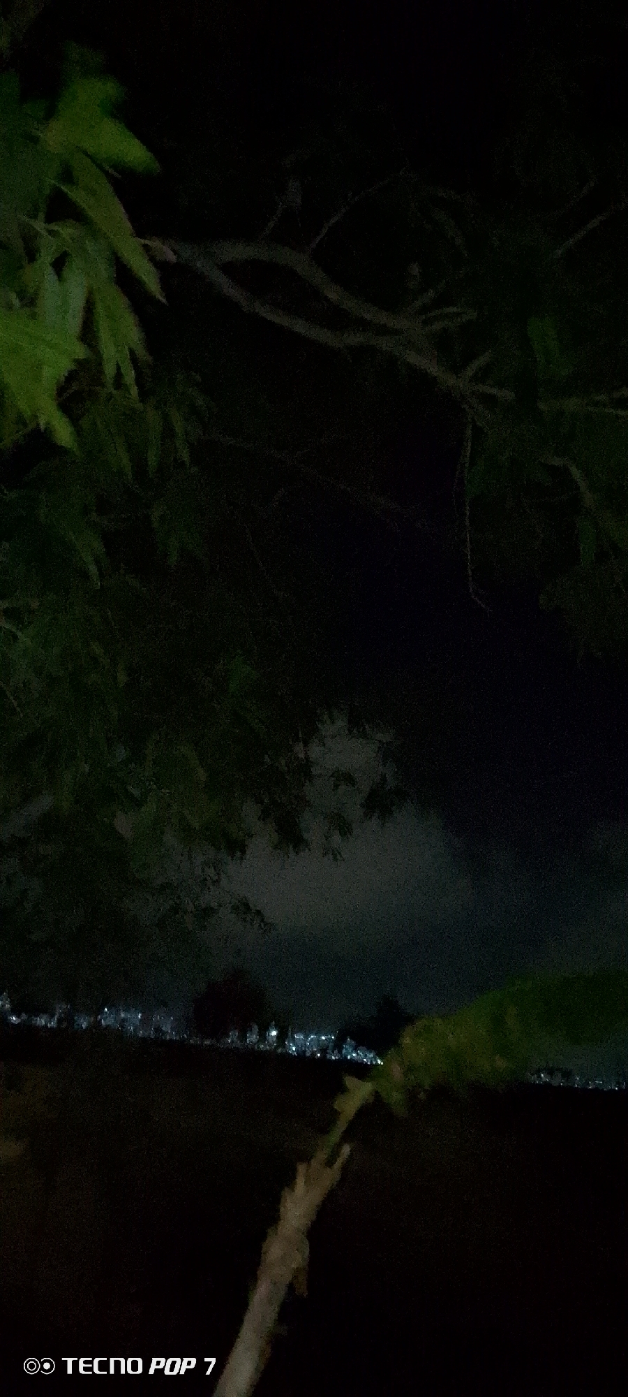 The image shows a nighttime view of what appears to be the city of Altagracia, Venezuela, seen through foliage. In the foreground, there are tree branches and leaves partially obscuring the view. A blurred, slender tree trunk is visible near the bottom of the frame. In the distance, a line of lights indicates the city's skyline, with a lighter, cloudy sky above it. The scene is dark, and the details are obscured by the lack of light. The camera model is "Tecno POP 7" and is displayed in the lower left corner of the frame.