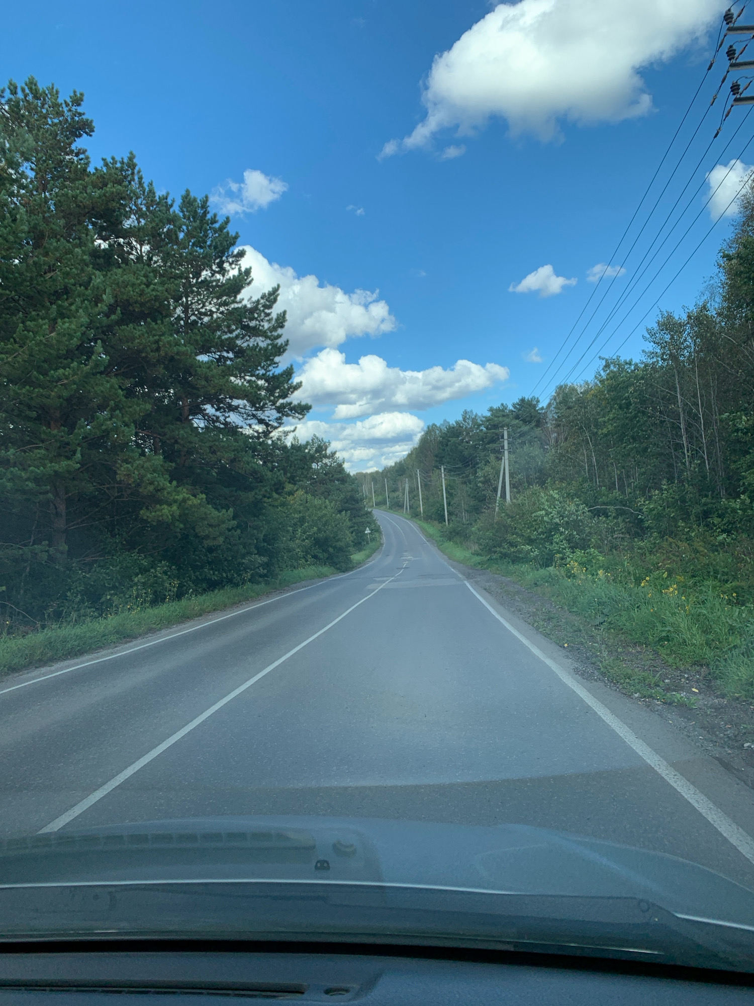 The image captures a paved road winding through a forested area under a partly cloudy blue sky. On the left, tall evergreen trees, likely pine, dominate the landscape, with dense green foliage. To the right of the road, a mix of deciduous and evergreen trees forms a dense forest edge, with some scattered power lines and utility poles visible along the roadside. The road itself is marked with white lines, indicating lanes and direction. The foreground shows the dashboard and windshield of a vehicle, suggesting the image was taken from the driver's perspective. There are no people or animals visible in the scene. The environment appears to be rural, with a sense of a journey underway on a clear day. The location is specified as Свободный, Russia.