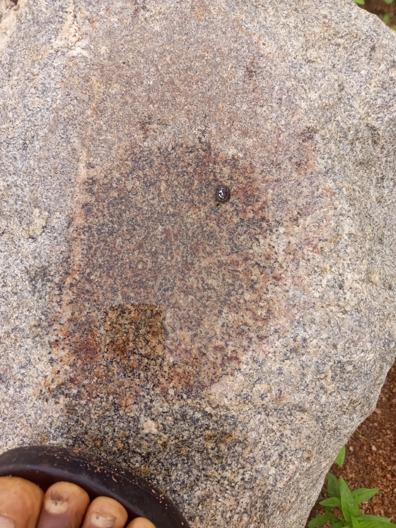 A close-up, overhead shot captures a dark, round object resting on a large, textured granite rock. The rock is a mottled grey and brown, with patches of lighter and darker grains. A small, damp, reddish-brown stain is visible on the rock's surface, near the center. The object itself is small and appears to be a snail or a similar creature, with a dark, shiny shell. In the lower left corner of the image, a portion of a dark sandal and some toes are visible, suggesting a person is present near the rock. The background consists of brown soil and some green foliage, indicating an outdoor environment. The image appears to have been taken in Zinna, Nigeria.