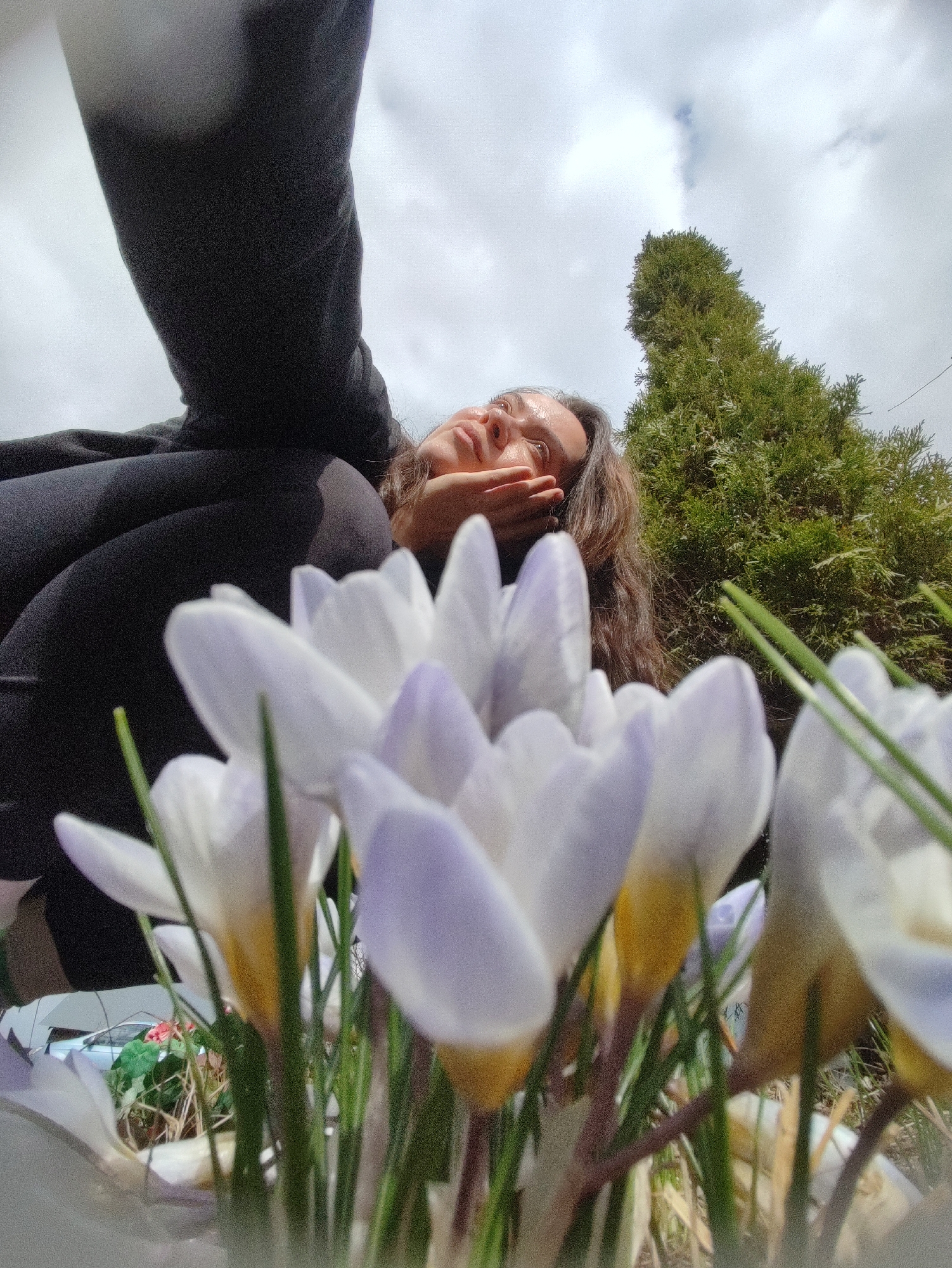 A low-angle shot captures a person lying on the ground amidst a cluster of white and light purple crocuses with yellow throats. The person, likely a woman, has long, dark hair and her hand is near her face, partially obscuring her cheek. She appears to be gazing upwards. She is wearing dark clothing, likely a sweater or jacket. Behind her, a tall, cone-shaped evergreen tree is visible against a cloudy sky. The location is Фоки, Russia. Through the gaps in the flowers and stems, a glimpse of an object can be seen behind.
