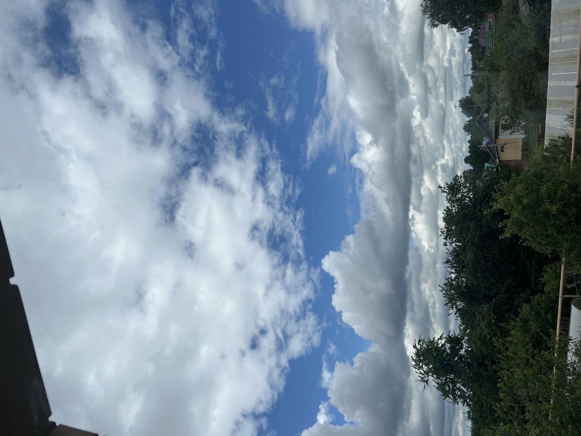 The image depicts a partly cloudy sky over a rural landscape, likely in Votkinsk, Russia. The sky is a vibrant blue with scattered cumulus clouds, some appearing fluffy and white, while others are larger and more grey, suggesting potential for rain. Below the sky, a dense line of lush green trees forms the horizon. Within the treeline, several houses with visible roofs are scattered, indicating a residential area. The foreground features a white, corrugated structure, possibly a fence or a part of a greenhouse, and a wooden railing. No people are visible in the image. The overall scene conveys a sense of natural beauty and quiet, rural life.