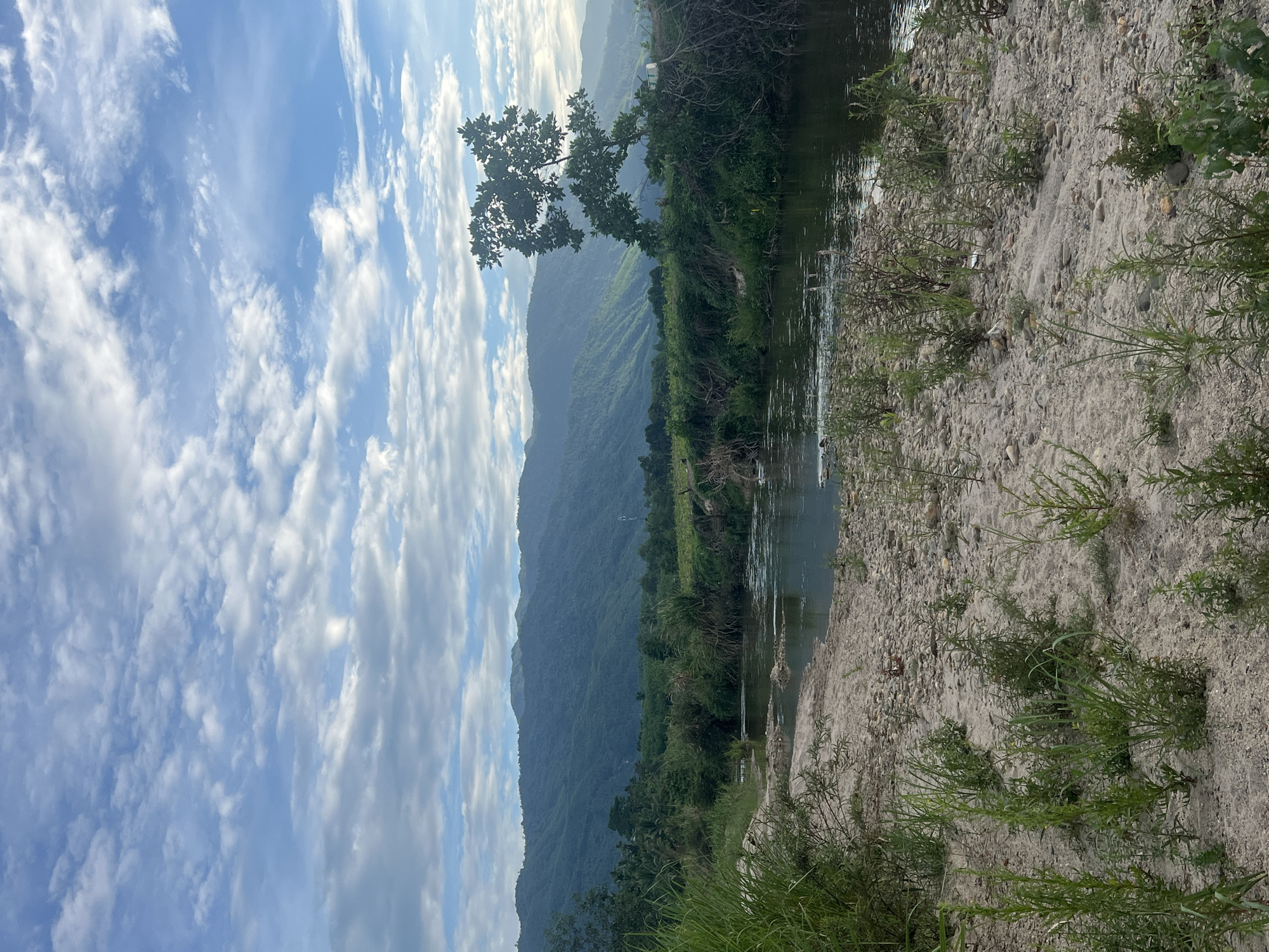The image depicts a natural landscape near Đà Nẵng, Vietnam, characterized by a river flowing through a sandy and rocky bank. In the foreground, sparse green vegetation and stones dot the sandy ground. The river's surface reflects the sky and surrounding greenery, with subtle ripples indicating movement. The middle ground is occupied by lush vegetation, including tall grasses and trees, and a prominent tree with dark green foliage stands on the right bank. In the background, rolling, densely forested mountains stretch across the horizon under a sky filled with scattered white clouds against a backdrop of blue. The overall scene suggests a peaceful, natural environment, likely a rural area or a park outside the main city. There are no people or man-made structures visible in the immediate vicinity, though a faint structure resembling a cell tower can be seen on the distant right side of the image.