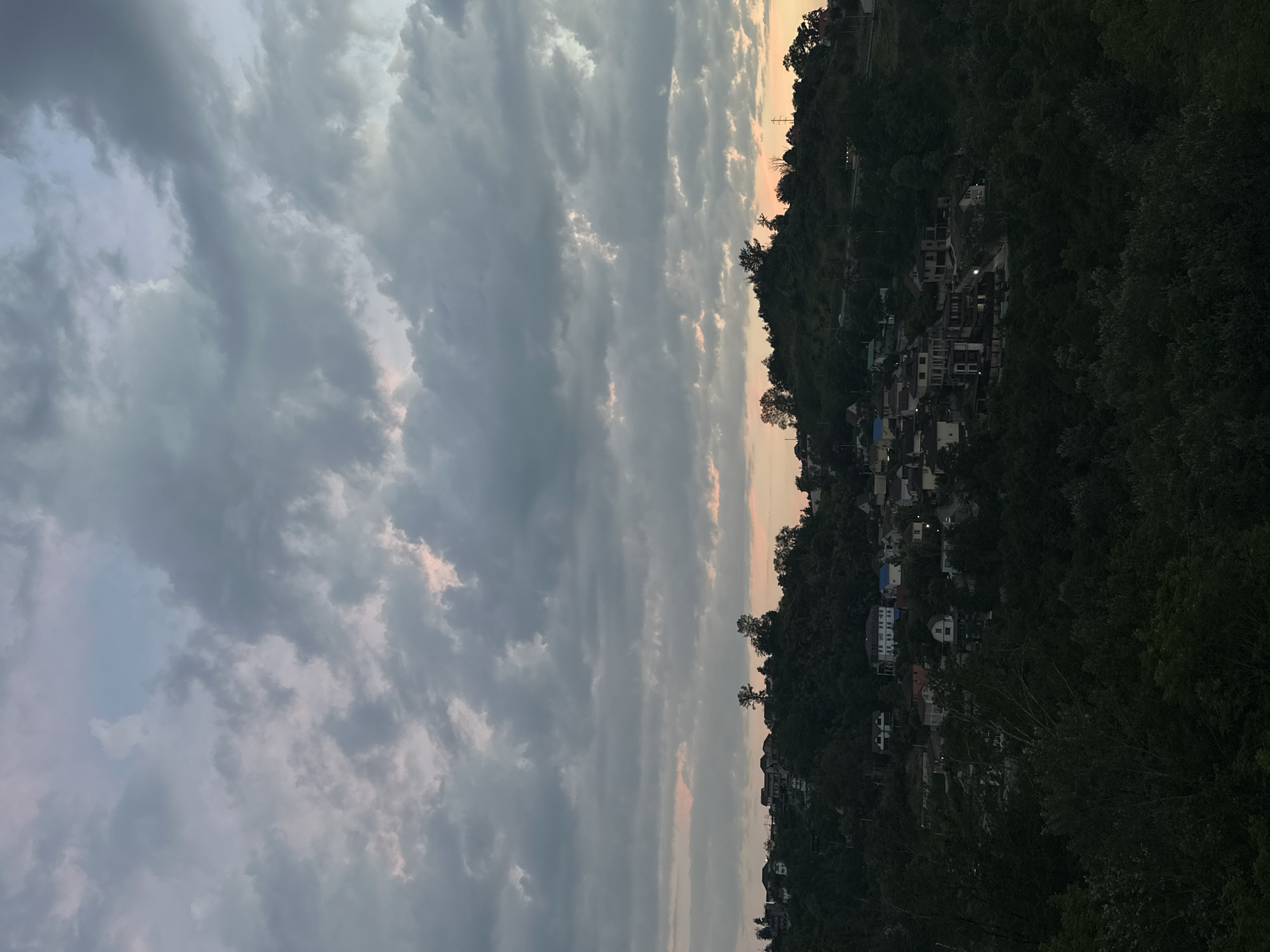The image depicts a cloudy twilight sky over a hillside settlement in Sochi, Russia. The foreground is dominated by dark, dense foliage, obscuring much of the lower portion of the scene. Above the trees, a scattering of buildings with various rooflines and architectural styles are visible, nestled into the slopes of the hill. Some of the structures appear to be houses, while others might be larger residences or small hotels. A road or path winds through the settlement, and streetlights are faintly visible, indicating the presence of infrastructure. The sky is filled with a layer of dramatic, textured clouds, tinged with muted pinks and grays from the setting sun. The overall atmosphere is tranquil and slightly moody, characteristic of a coastal city at dusk.