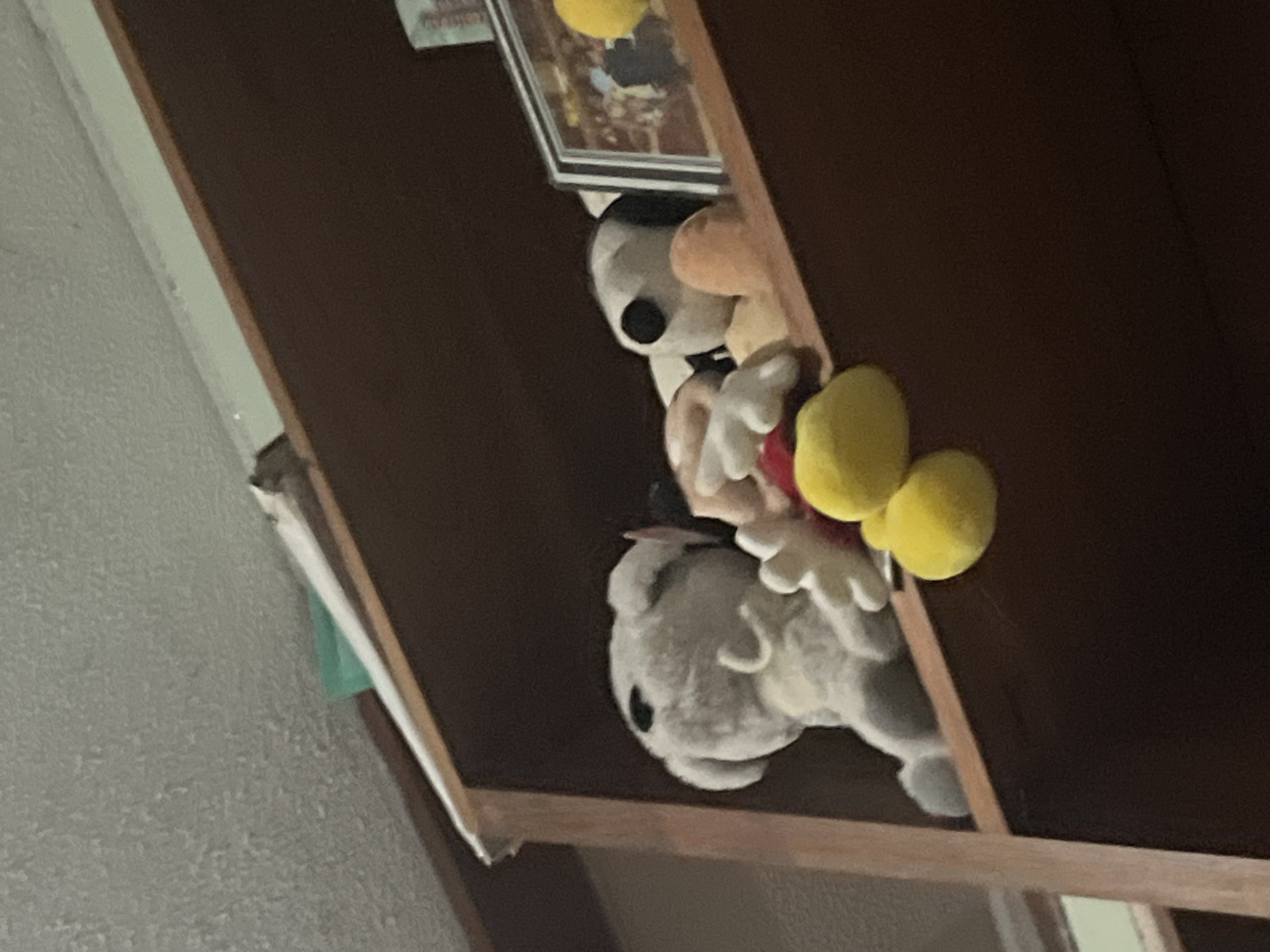The image shows a wooden shelf with several stuffed animals. On the left is a light gray stuffed dog with a curled tail. To its right, a Mickey Mouse plush toy is visible, with yellow shoes and red shorts. Further to the right, a Snoopy plush toy with black ears is resting. Behind the stuffed animals, a framed picture is placed on the shelf. The shelf appears to be part of a bookcase or cabinet. The background wall has a textured surface and is painted a light color. The scene is lit by artificial light, creating shadows on the shelf. The image does not provide any information about the location in Santa Ana, Venezuela.