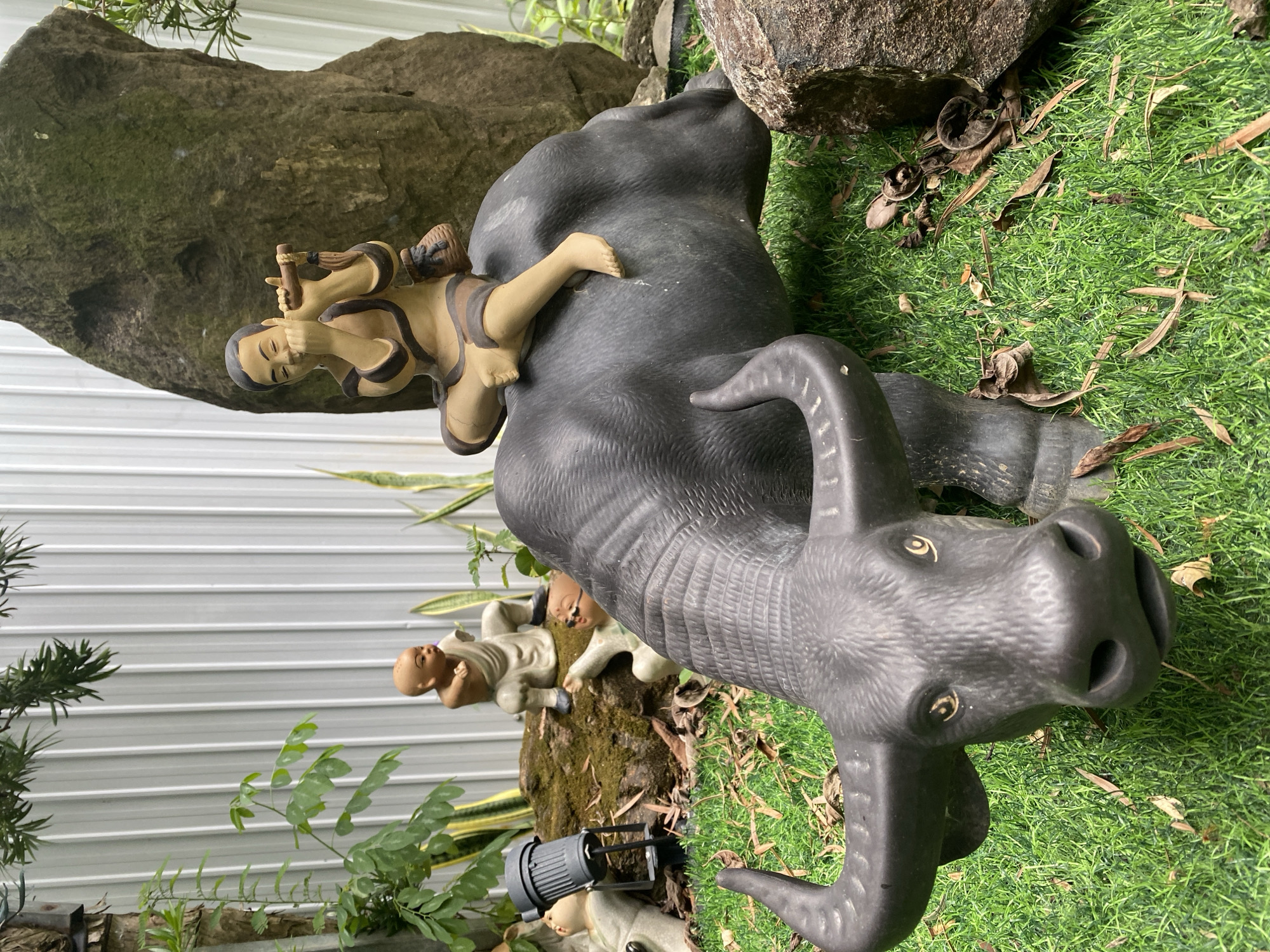 This image depicts a garden scene with several statues. In the foreground, a large, dark statue of a water buffalo is positioned facing the viewer. The buffalo has prominent horns and its mouth is slightly open. Behind the buffalo, a statue of a young boy is seated on its back, playing a flute. The boy is dressed in simple, earth-toned clothing and has a small basket slung over his shoulder. To the left and in the background, there are other smaller statues of young figures, some of whom appear to be monks or children, situated on a moss-covered rock. The statues are placed on a lush green lawn, with scattered dry leaves and a large rock formation in the background. A white corrugated metal fence forms the backdrop of the scene. There are also some green plants and a spotlight visible. The overall setting suggests an outdoor decorative space, likely a garden or courtyard. The specific location in the city of Đà Nẵng, Vietnam, is not discernible from the visual information provided in the image.