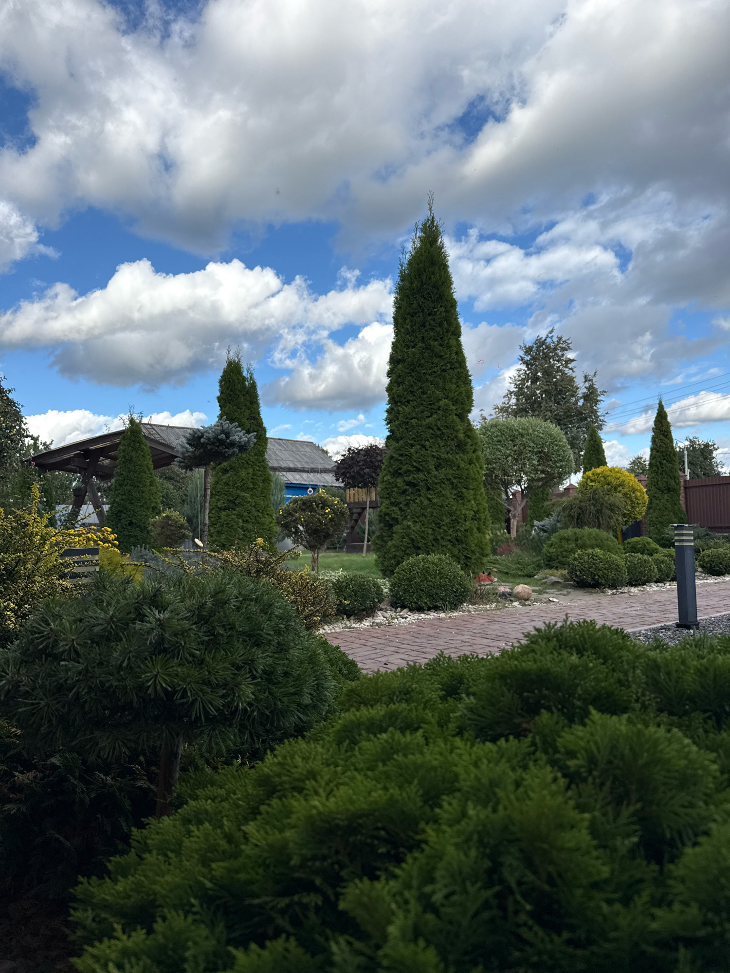 A well-maintained garden is captured on a cloudy day, featuring an array of coniferous trees and shrubs. Prominent among the flora are several tall, slender cypress trees and various rounded bushes, some meticulously sculpted. A brick pathway meanders through the garden, bordered by gravel and low-lying greenery. In the background, a wooden gazebo structure is visible, along with parts of a building with a dark roof and blue walls, likely a house or shed. The sky is dramatic with a mix of bright blue patches and large, fluffy white clouds. The scene suggests a suburban or rural residential setting.
