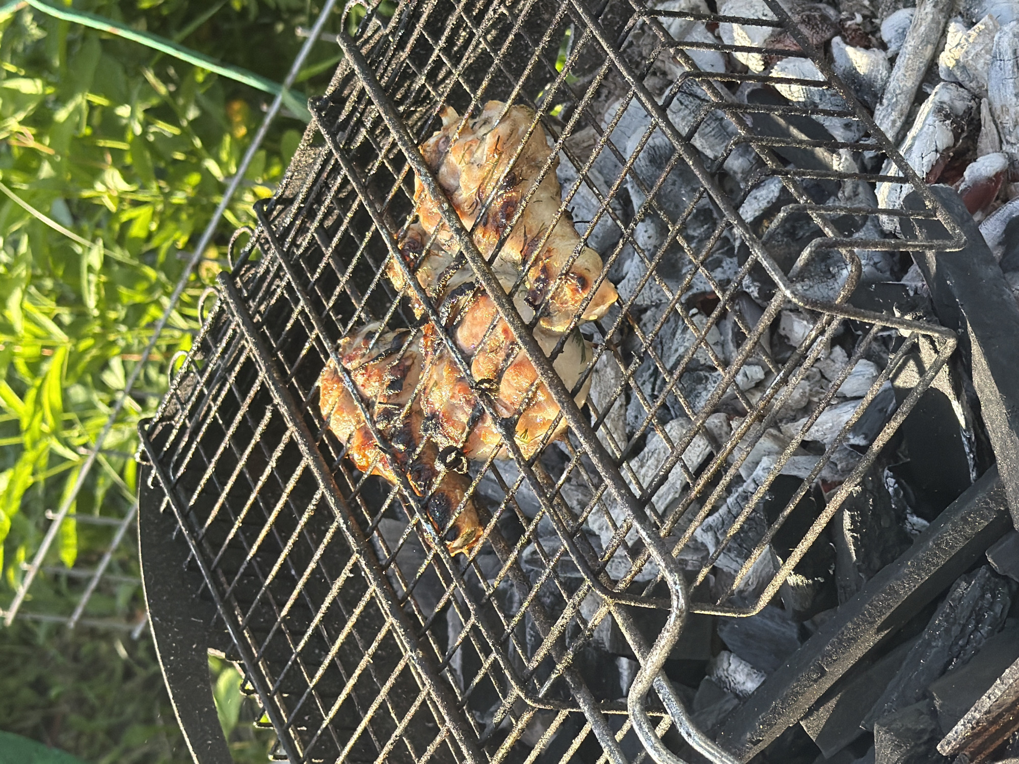 A close-up, high-angle shot shows three pieces of grilled chicken on a metal grill over hot charcoal. The chicken is golden brown with char marks from the grill. The grill is made of black metal wire mesh and rests on a bed of ash-covered charcoal briquettes. In the background, out of focus, is lush green foliage under bright sunlight. The scene appears to be outdoors, possibly in a backyard or park. There is no indication of the city of Petukhi, Russia in the image.