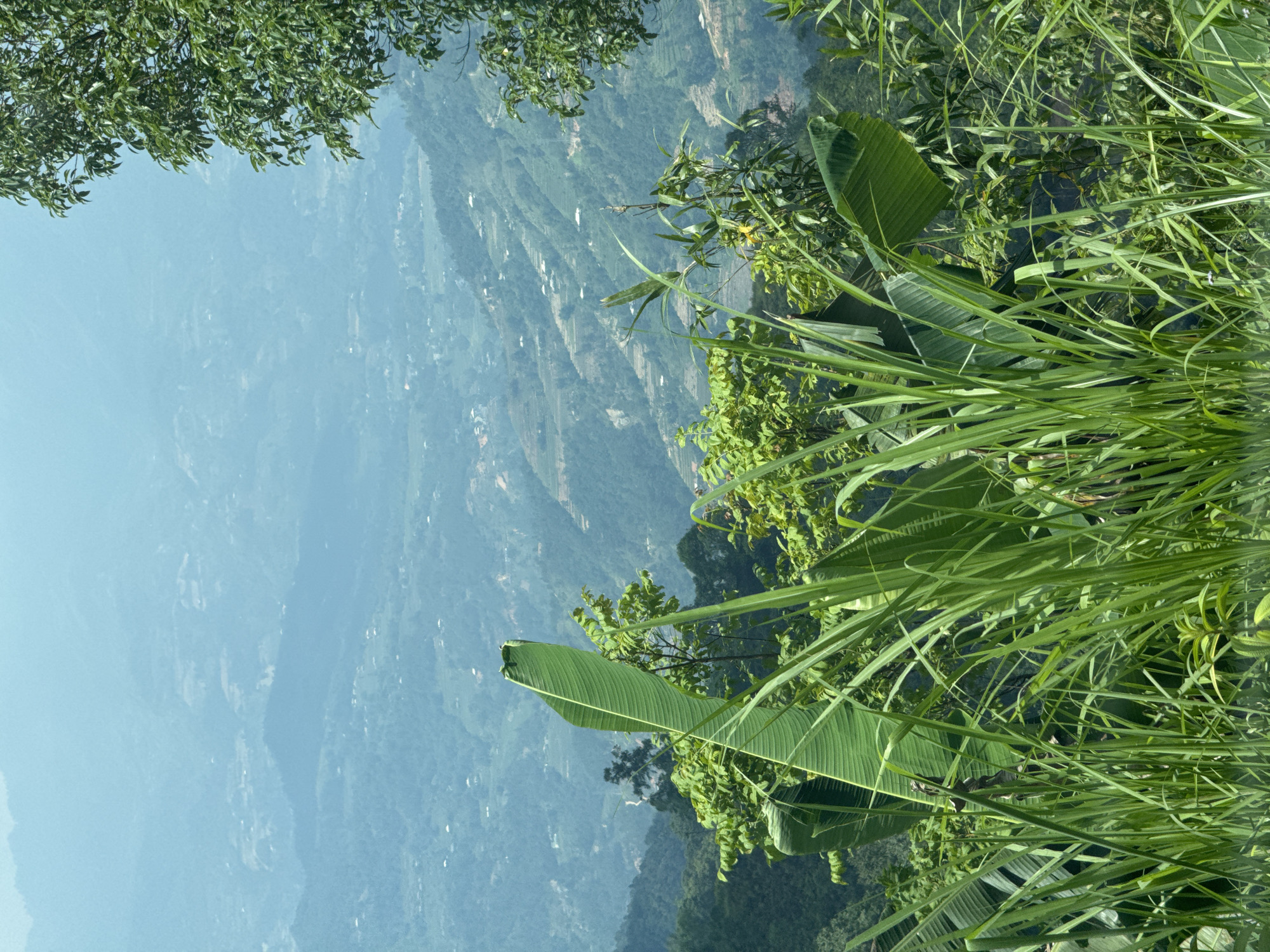 The image shows a view from an elevated position in Vinh Quang, Vietnam. The foreground consists of dense green vegetation, including banana leaves and tall grass. Beyond the foliage, a hazy mountainous landscape unfolds with terraced hillsides and scattered dwellings visible in the distance. The sky is a muted blue, contributing to the overall hazy atmosphere.