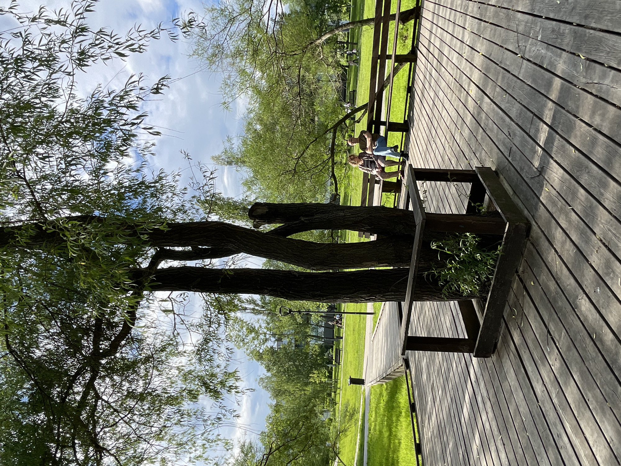 The image shows a wooden deck with a railing, built around a tree trunk in a park setting. Two individuals are seated on a bench behind the railing. The deck is made of planks. The surrounding area includes grassy lawns and other trees. In the distance, a pathway is visible, along with benches and people. The location is in Moscow, Russia.
