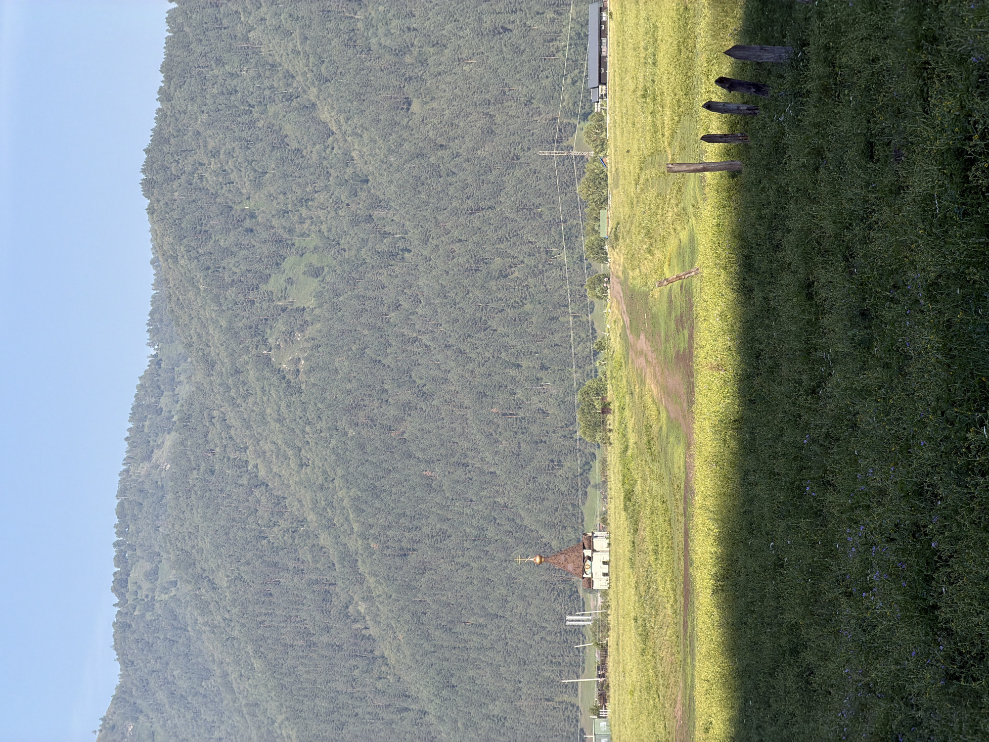 A wide shot captures a pastoral landscape with a prominent mountain covered in dense evergreen forest dominating the background. A clear blue sky stretches above the mountain range. In the mid-ground, a small, light-colored building with a distinctive copper-domed roof, resembling a chapel or small church, stands in a bright green, sunlit meadow. A dirt path winds through this meadow, leading towards the chapel and disappearing over a rise. To the right of the chapel, several trees are scattered across the landscape. Further in the distance, a long, dark-colored building with a visible roofline, possibly a residential or agricultural structure, is situated at the base of the mountain. A metal utility pole with wires is also visible in the distance. The foreground of the image is a shadowed area of tall green grass and some small purple and yellow wildflowers, with a line of weathered wooden posts on the right edge. The overall scene suggests a serene, rural setting. The provided context indicates the location is Anos, Russia.