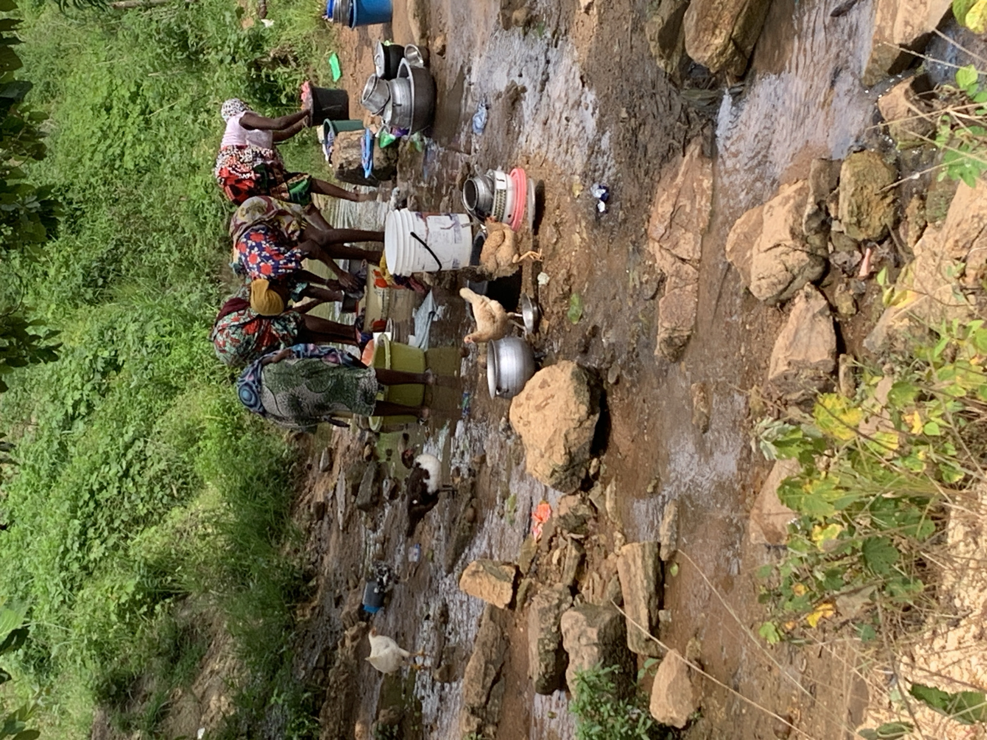 In Akwanga, Nigeria, a group of women are gathered by a shallow, rocky stream, engaged in laundry. Their vibrant, patterned clothing stands out against the natural landscape. Several women are bending over, washing clothes in the water or in basins. Various containers, including buckets and metal bowls, are scattered around them, holding water and laundry. A white chicken and a duck are foraging near the water's edge. The environment is rustic, with rocks and vegetation lining the stream, suggesting an outdoor, communal washing area.