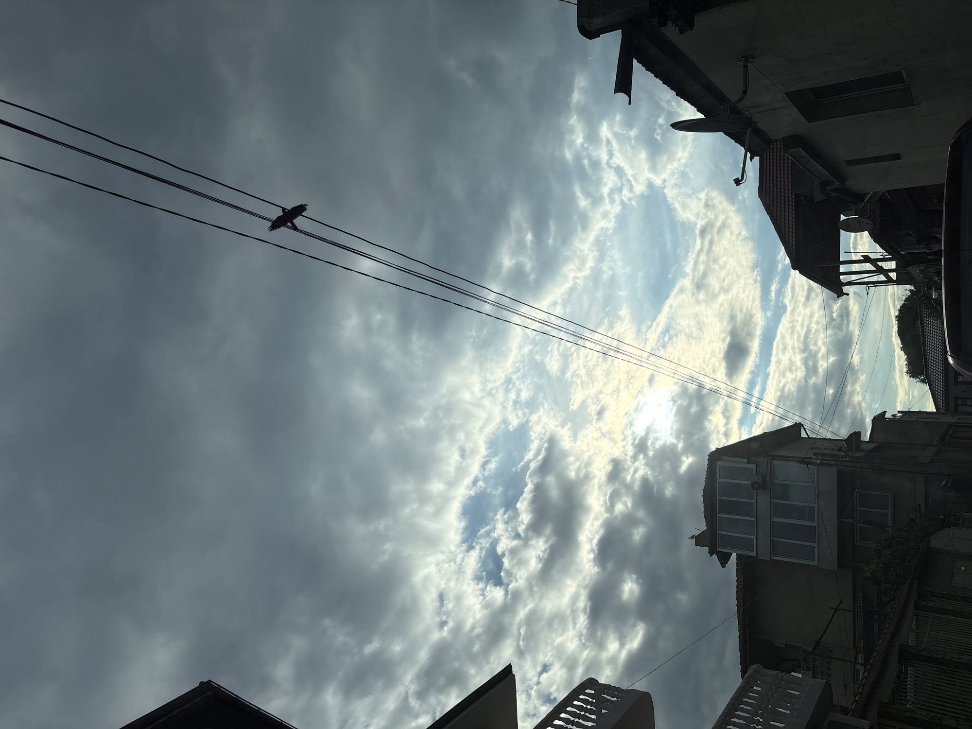 An upward-angled shot shows a cloudy sky between buildings. Power lines stretch across the upper portion of the frame, and a bird is perched on one of the lines. Buildings are visible along the edges of the frame. The location appears to be Varna, Bulgaria.